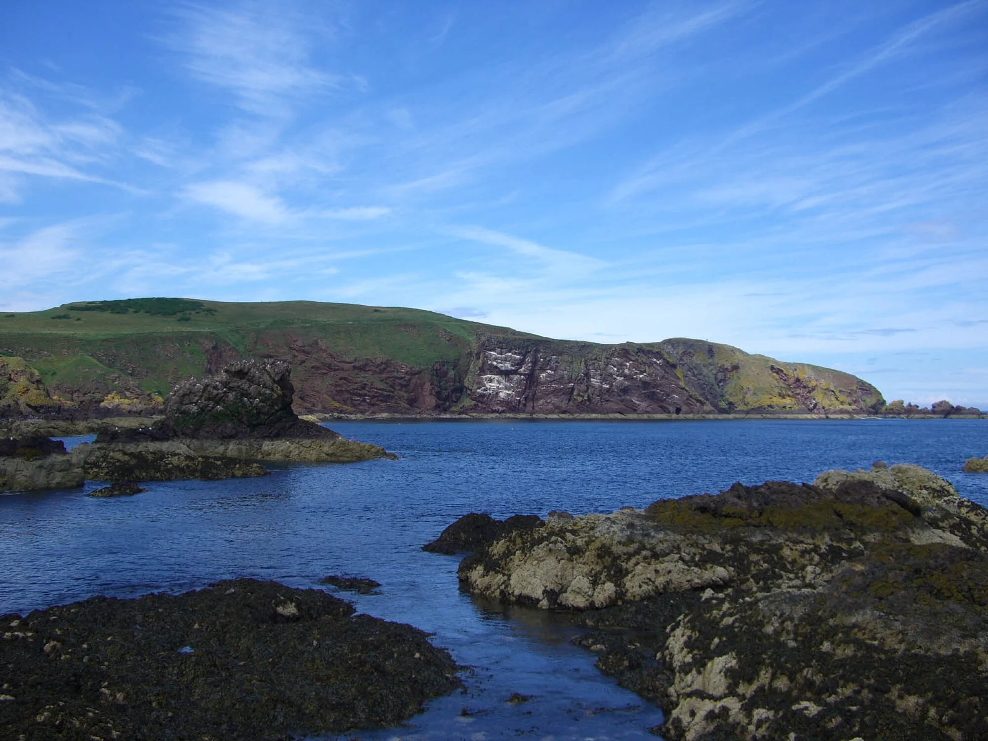 Vets in Berwickshire