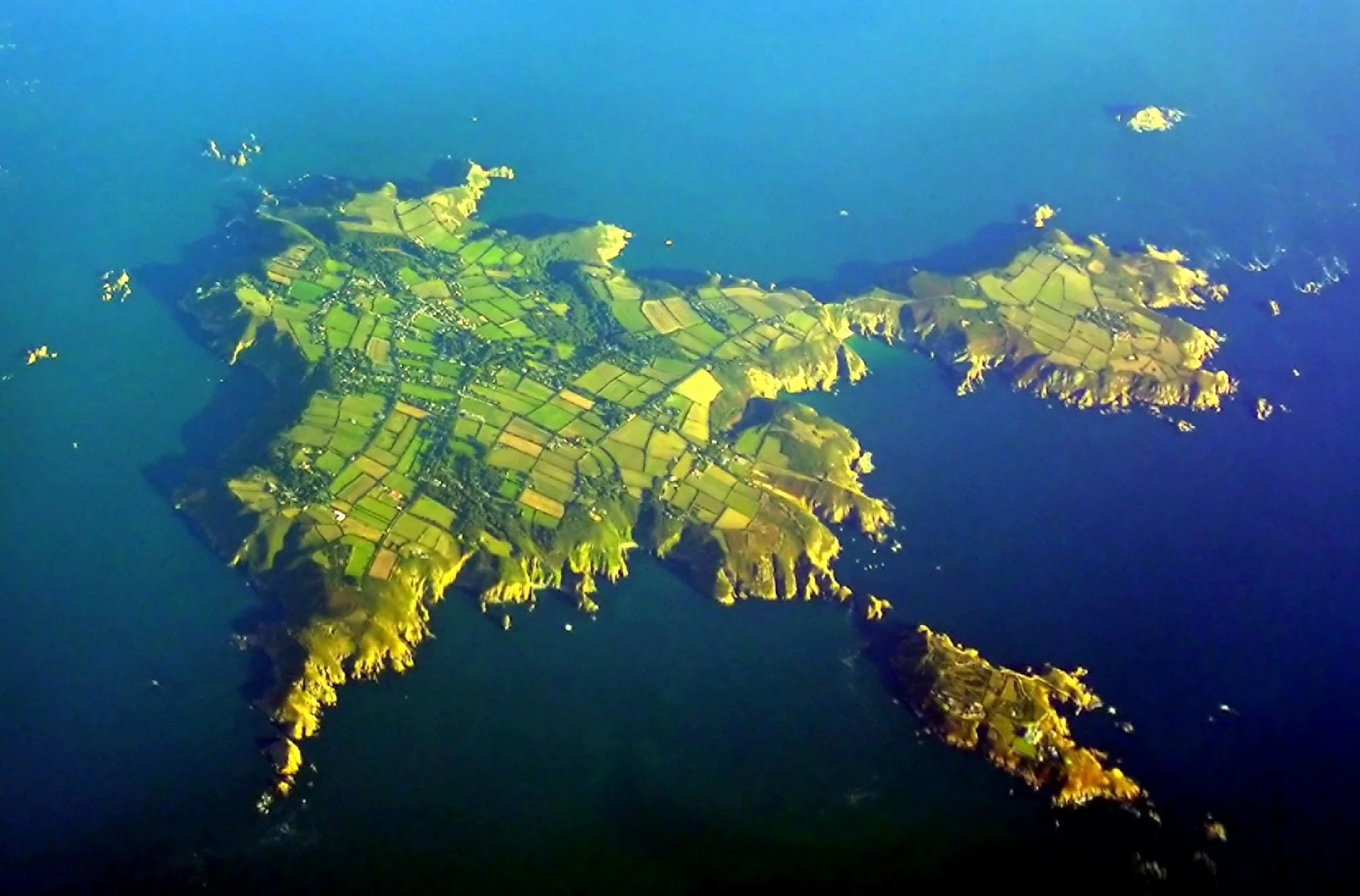 Vets in Channel Islands