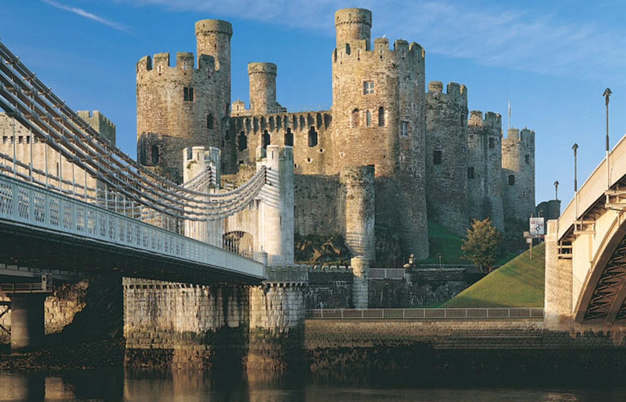 Vets in Conwy