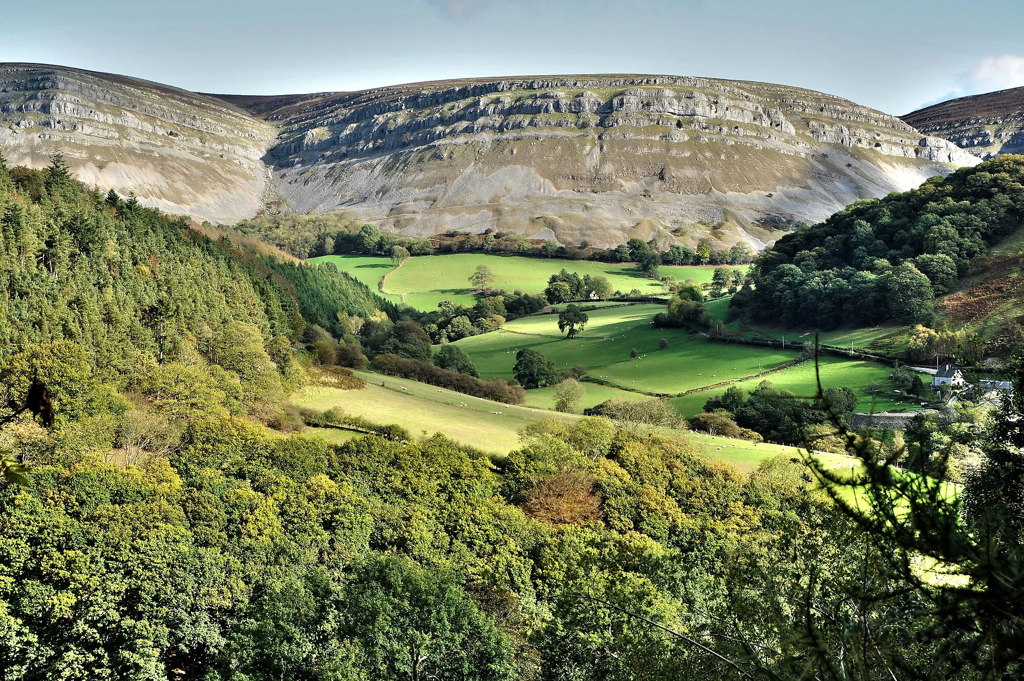 Vets in Denbighshire