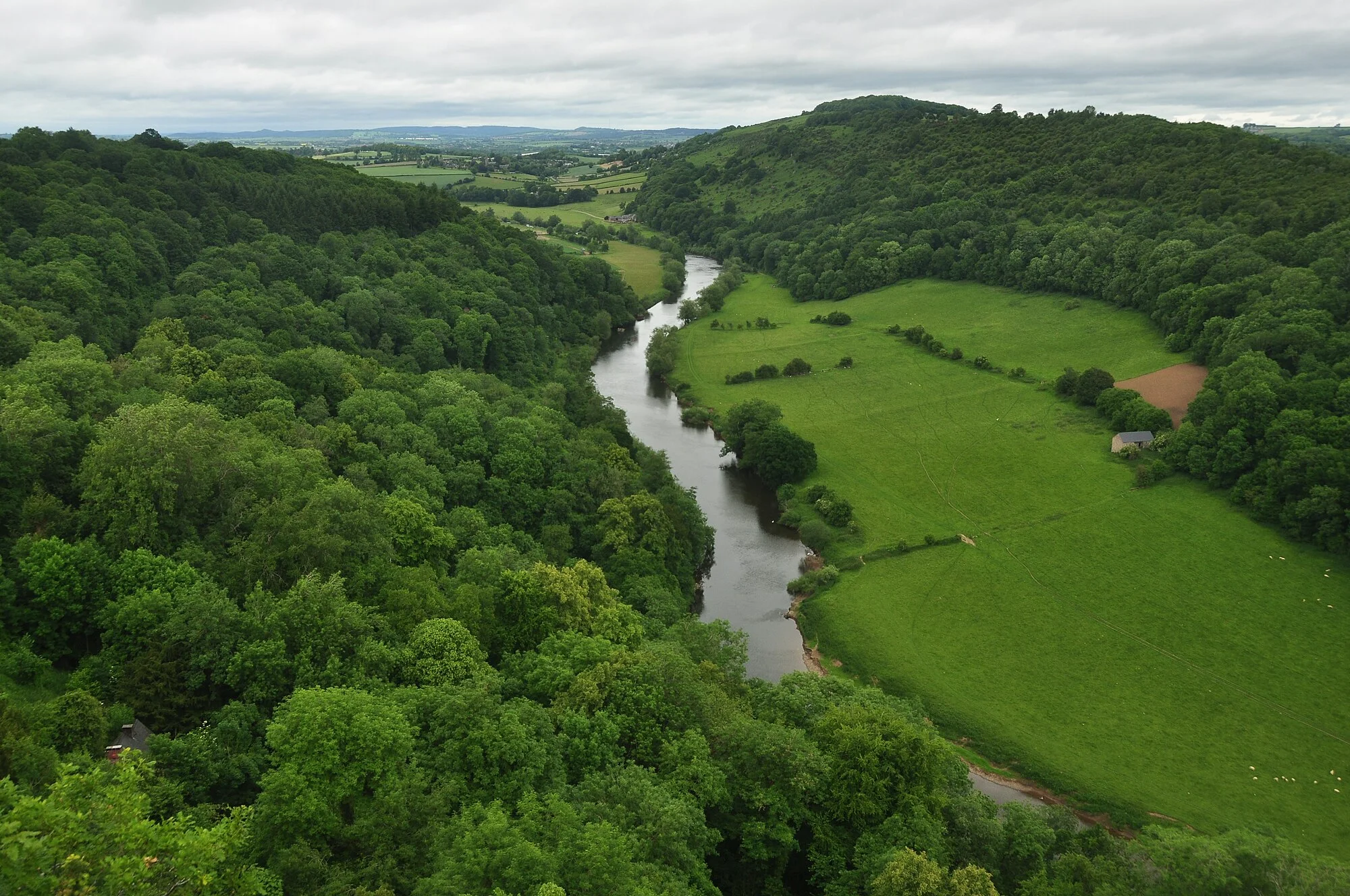 Vets in Herefordshire