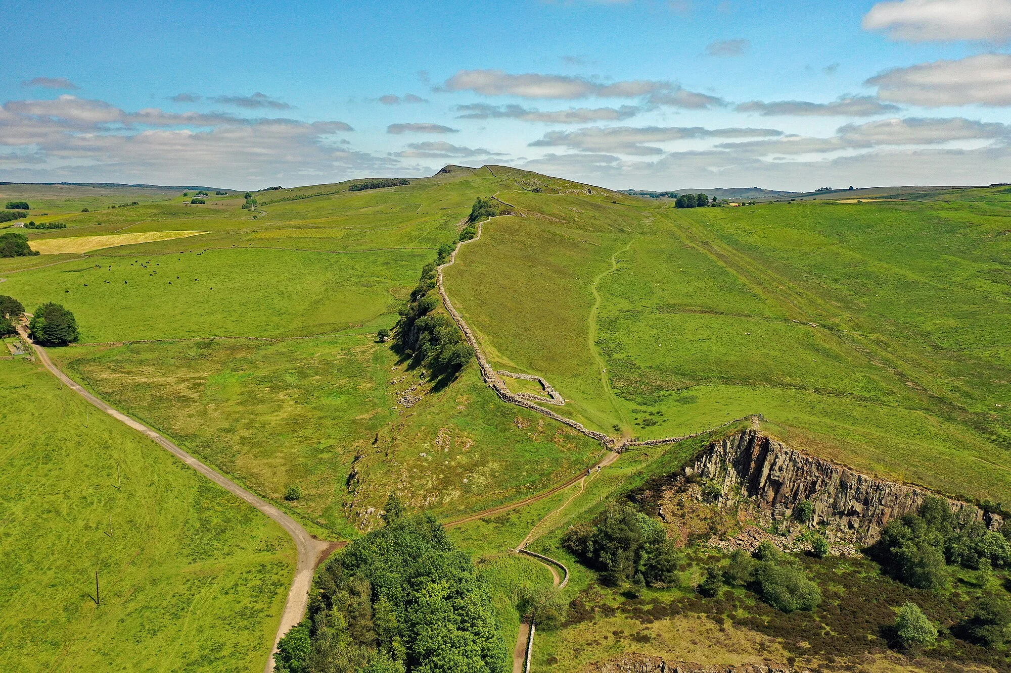 Vets in Northumberland