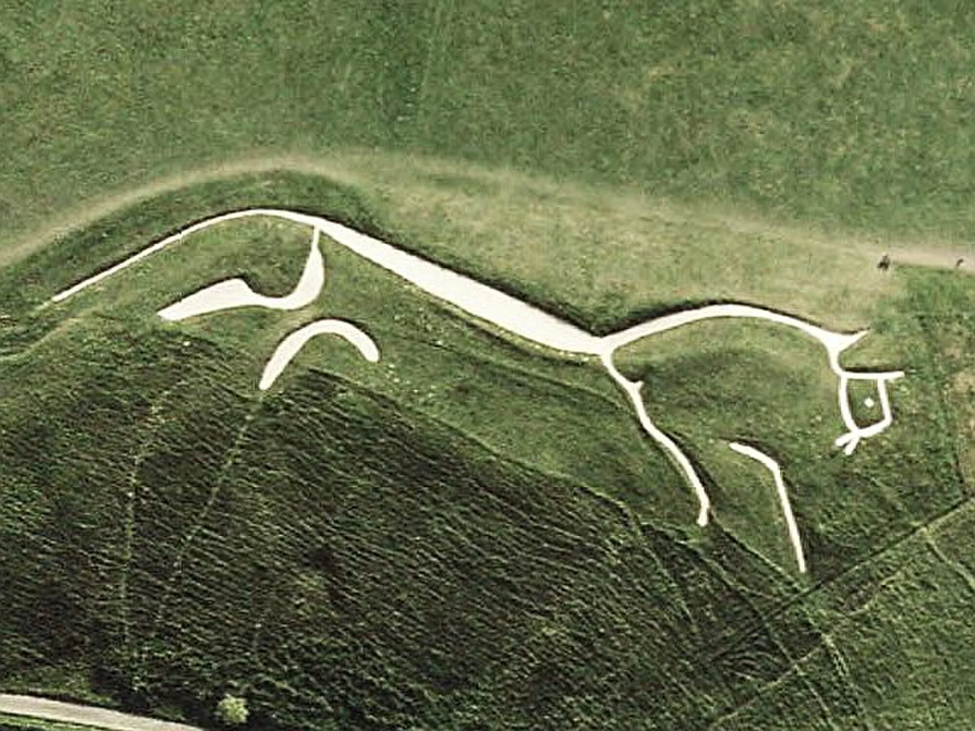 Vets in Oxfordshire