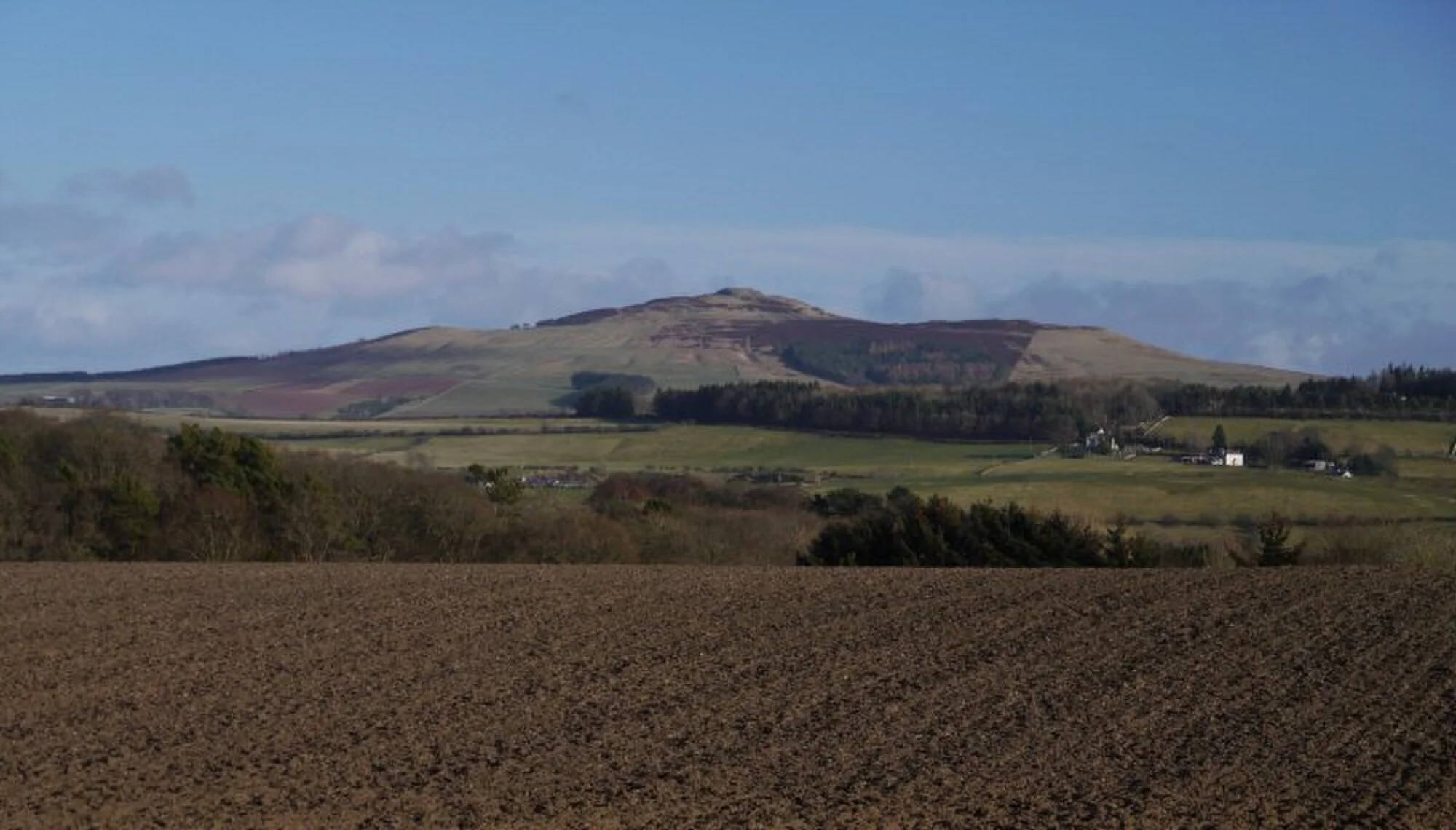 Vets in Roxburghshire