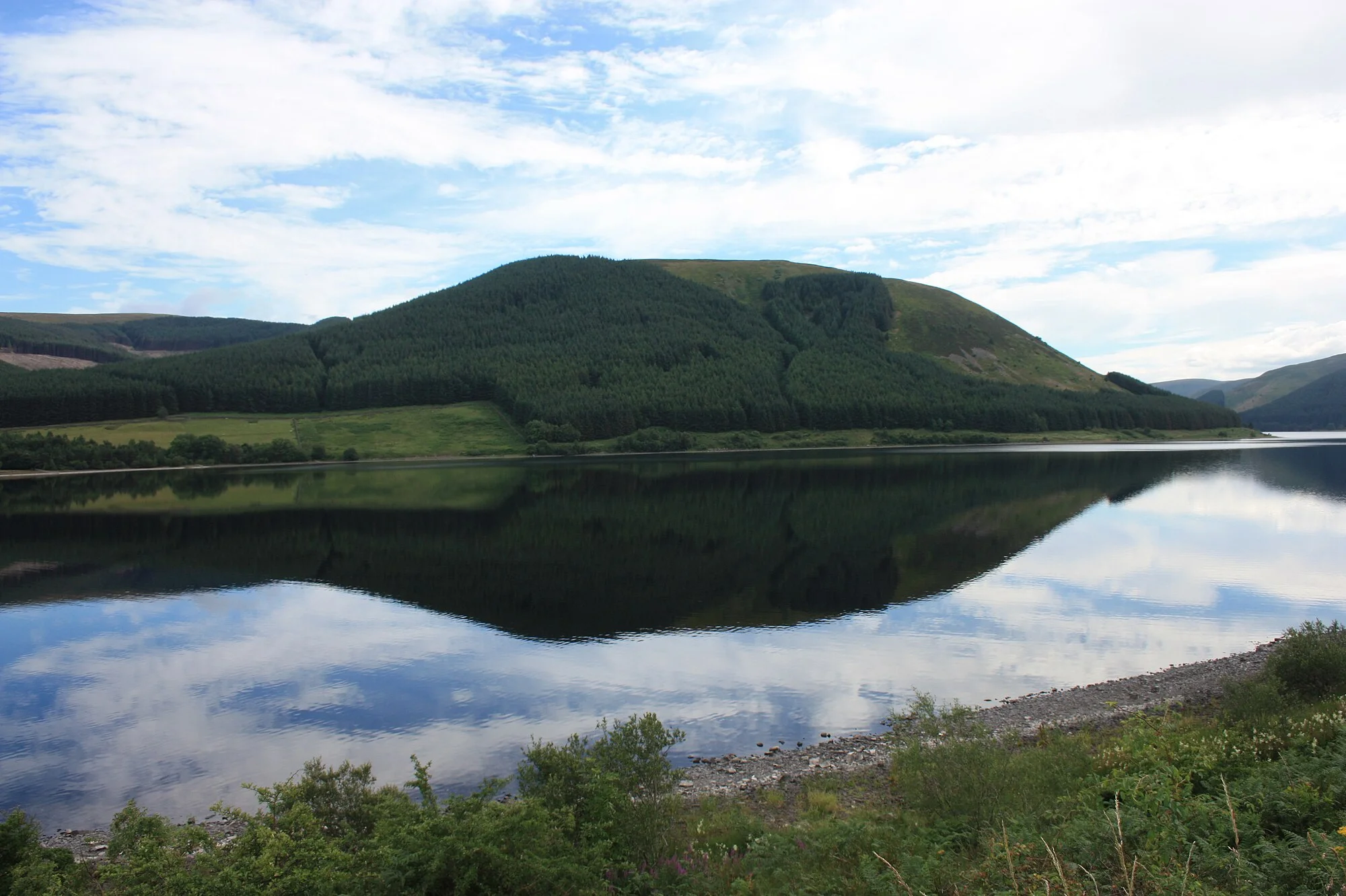 Vets in Selkirkshire