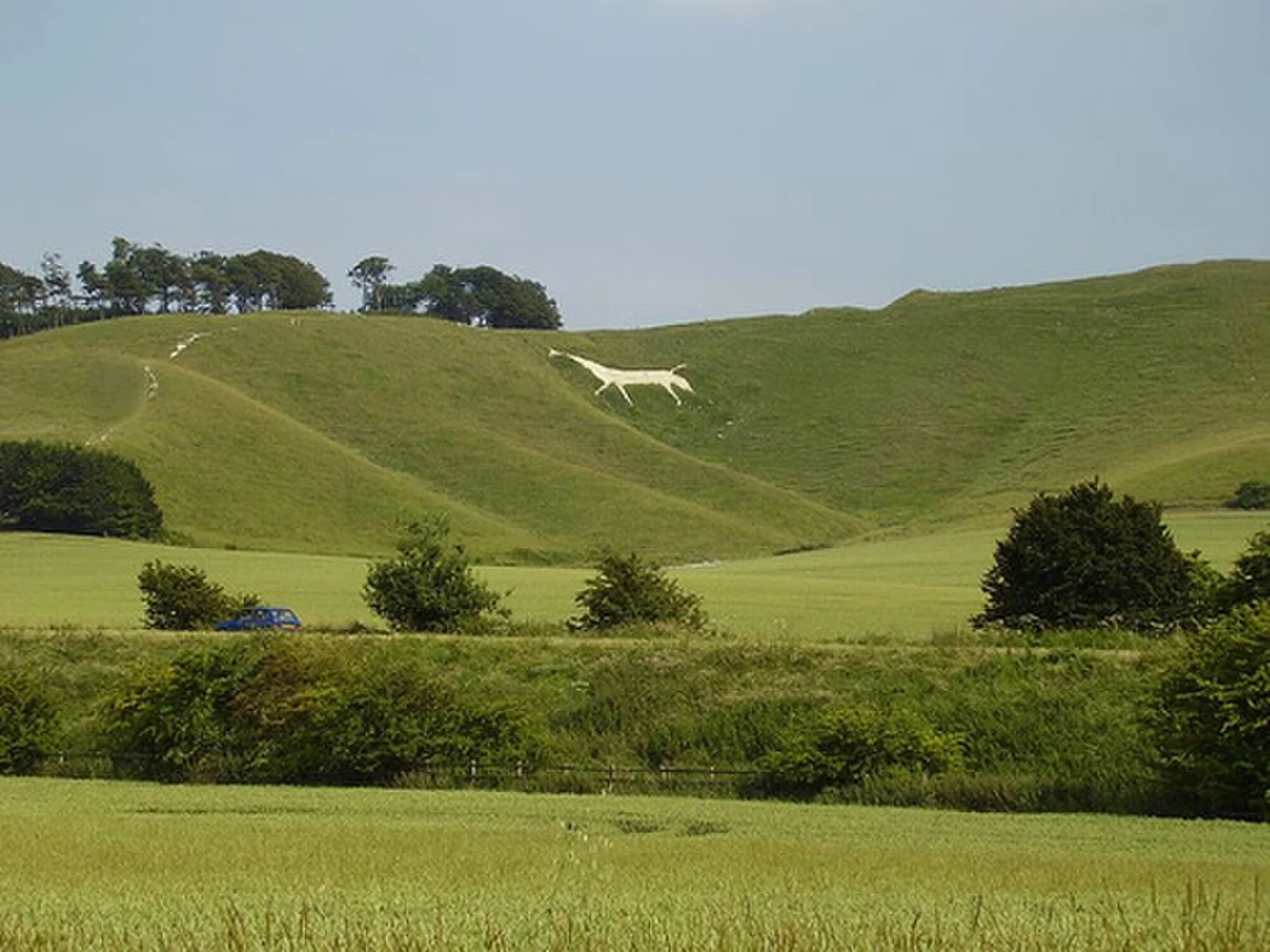 Vets in Wiltshire