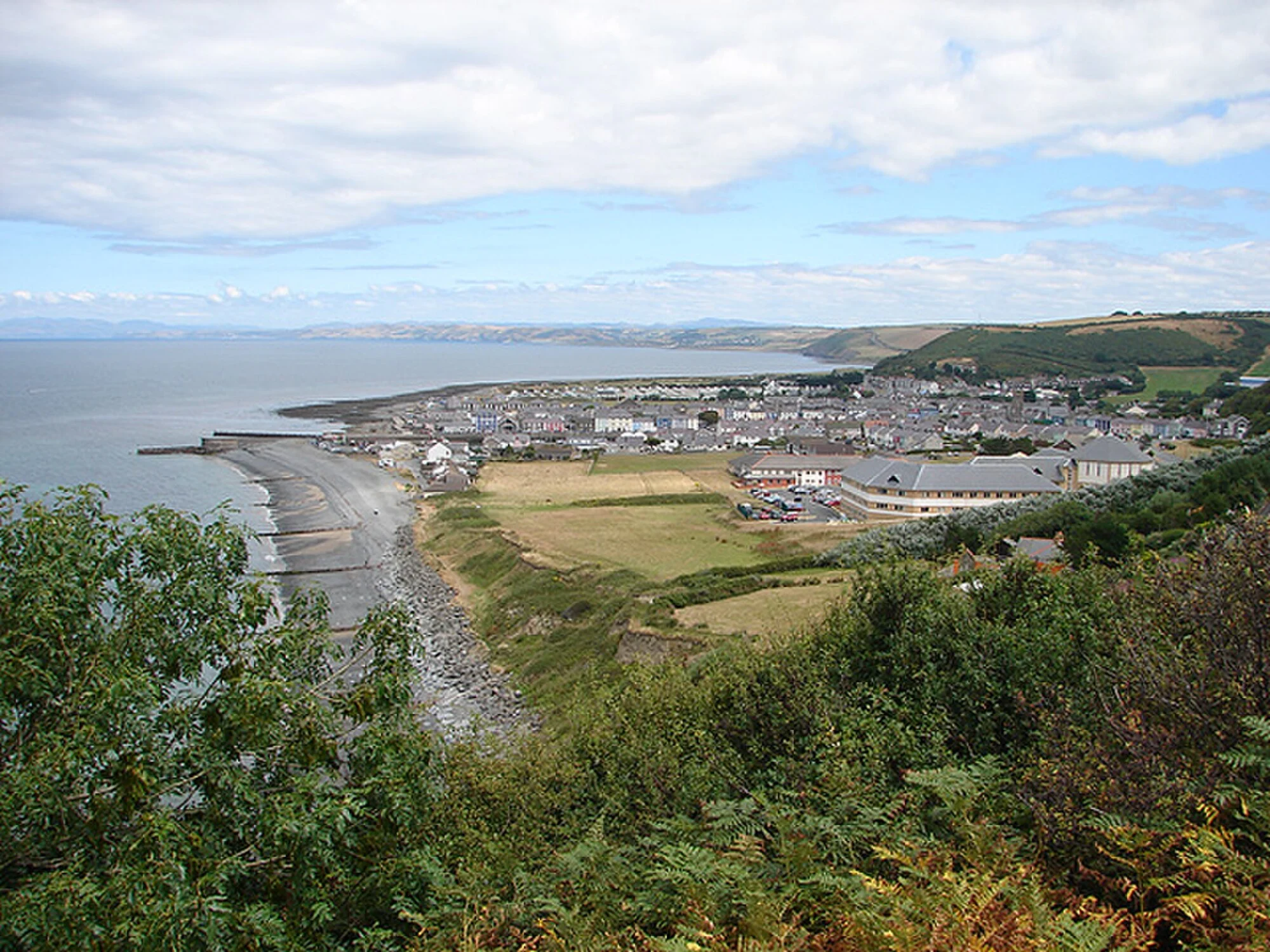 Vets in Aberaeron