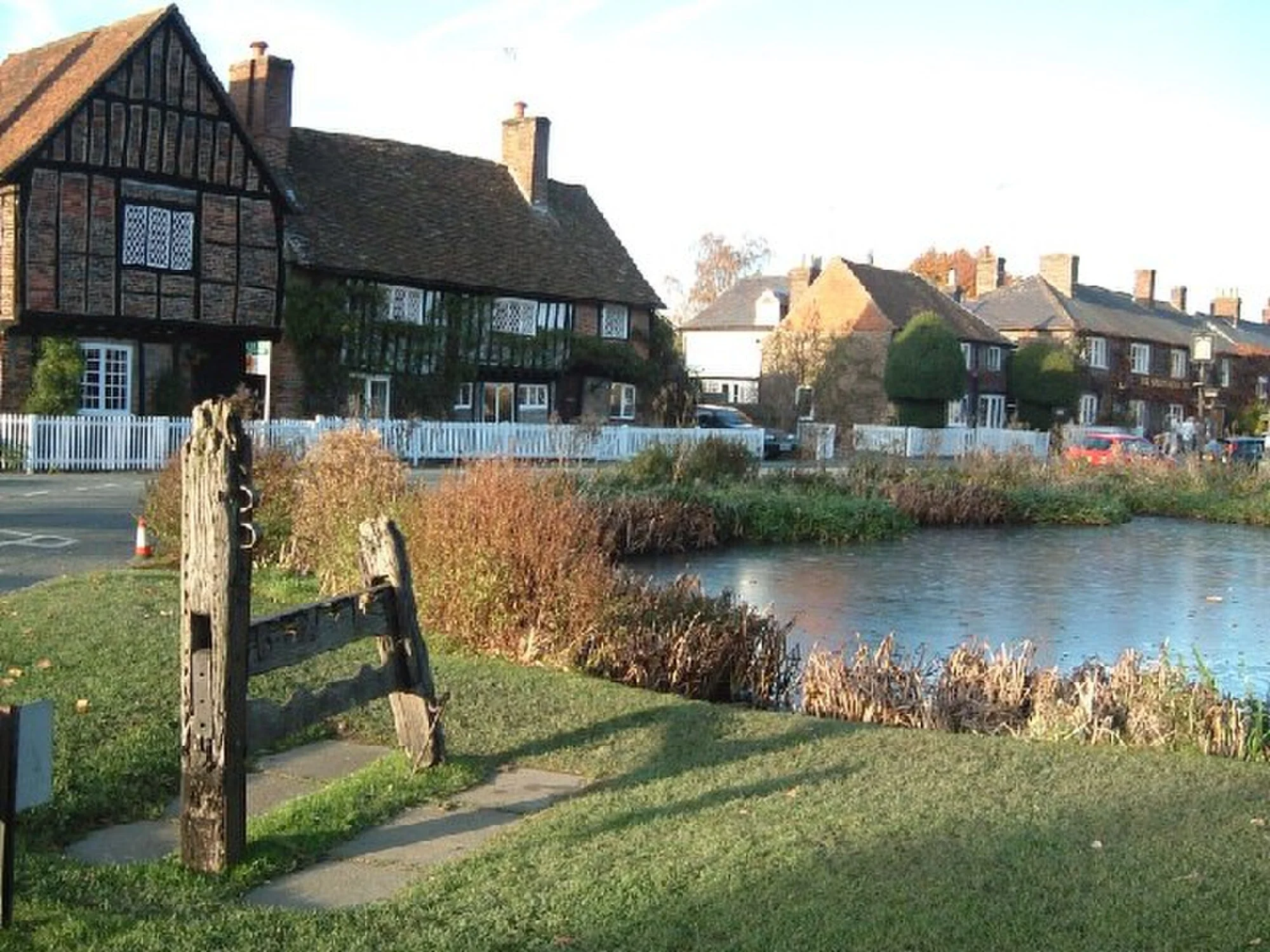 Vets in Aldbury