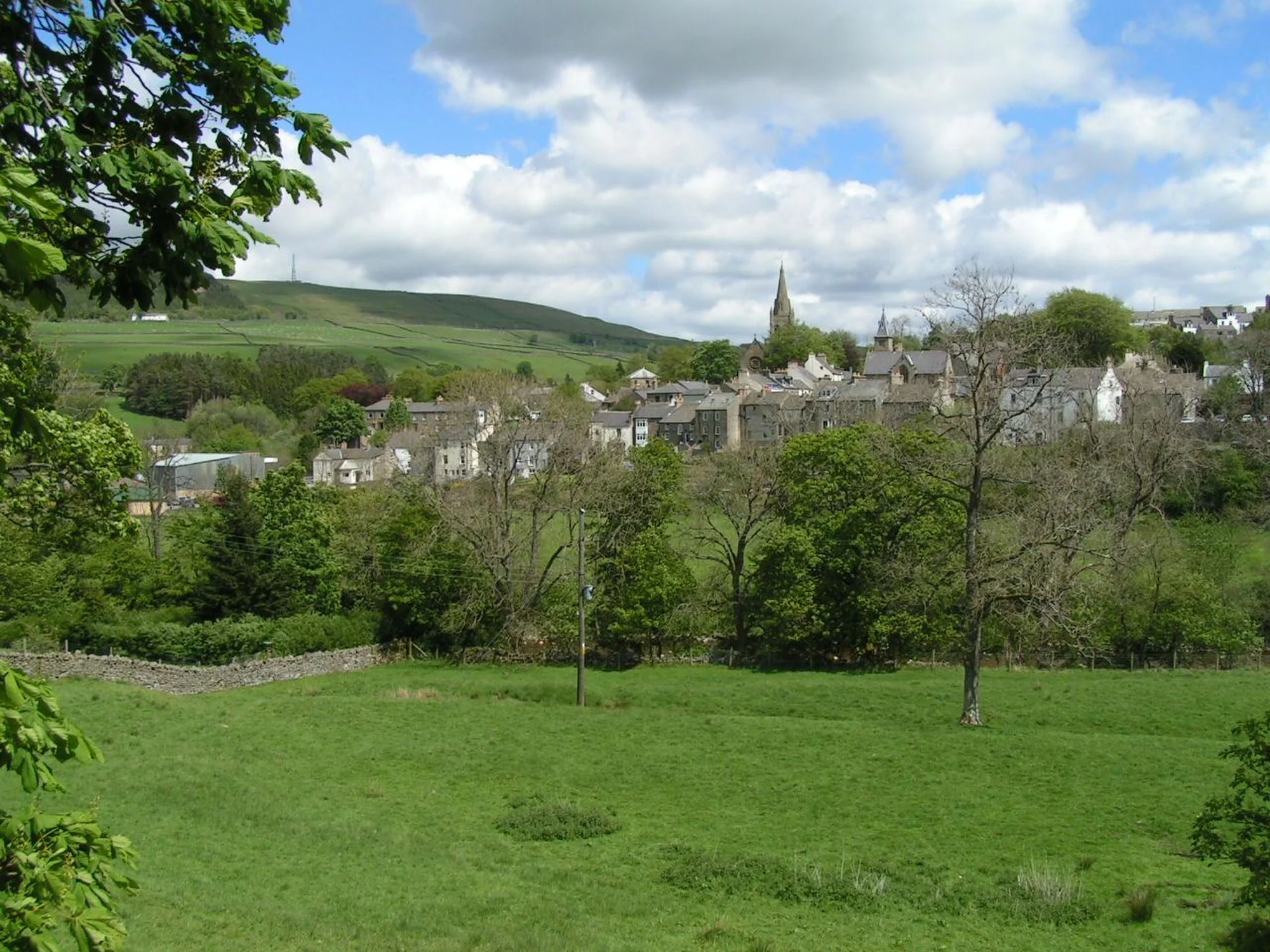 Vets in Alston