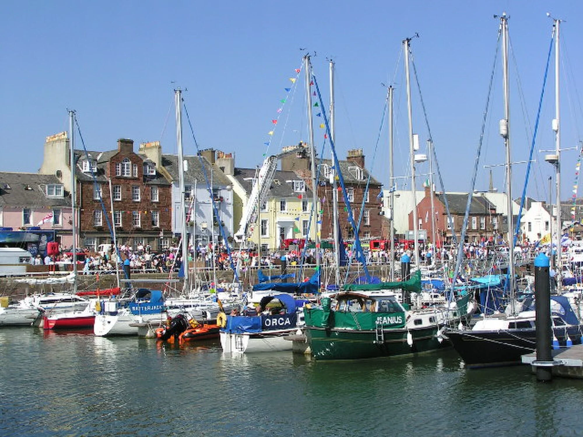 Vets in Arbroath