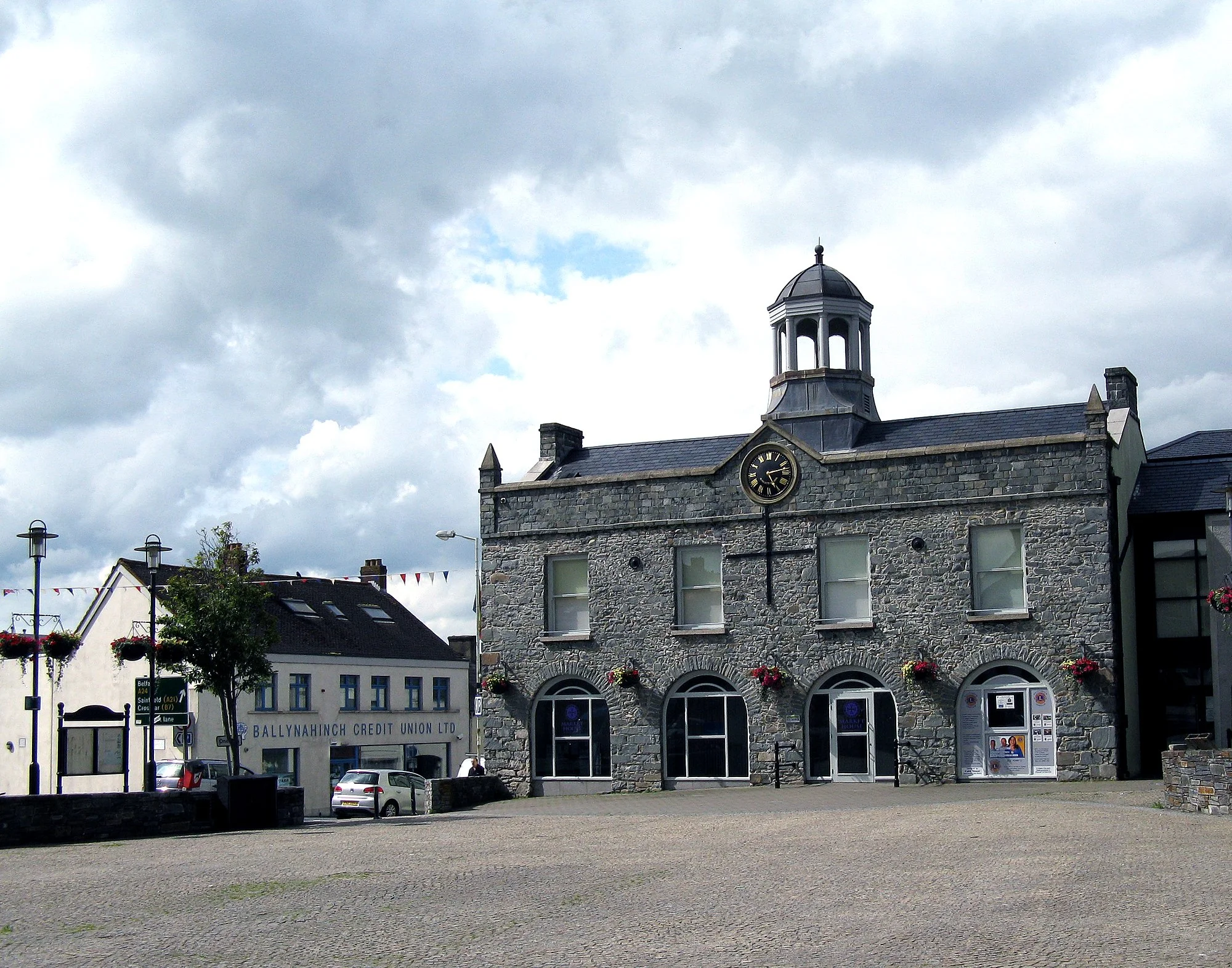 Vets in Ballynahinch