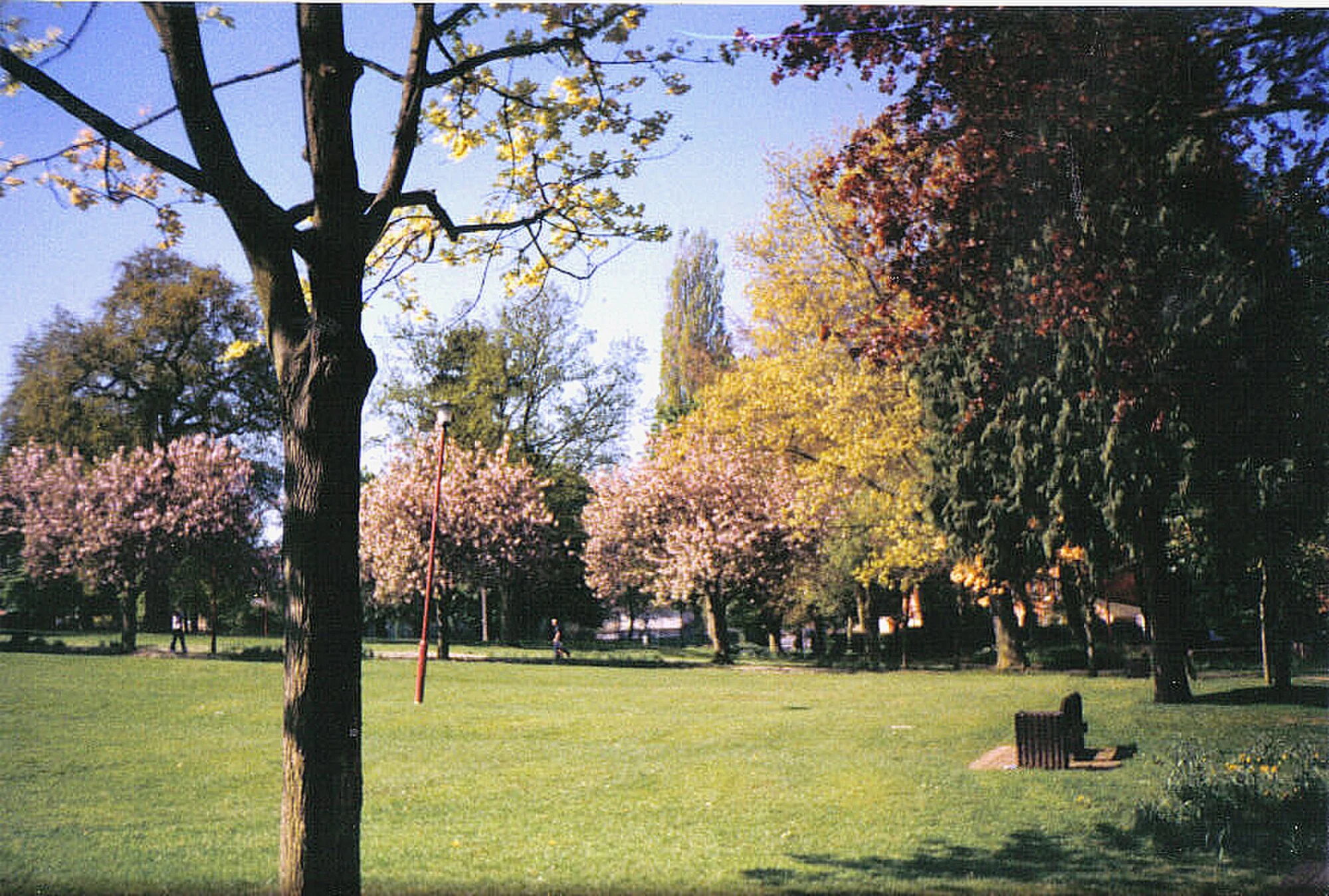 Vets in Banbury