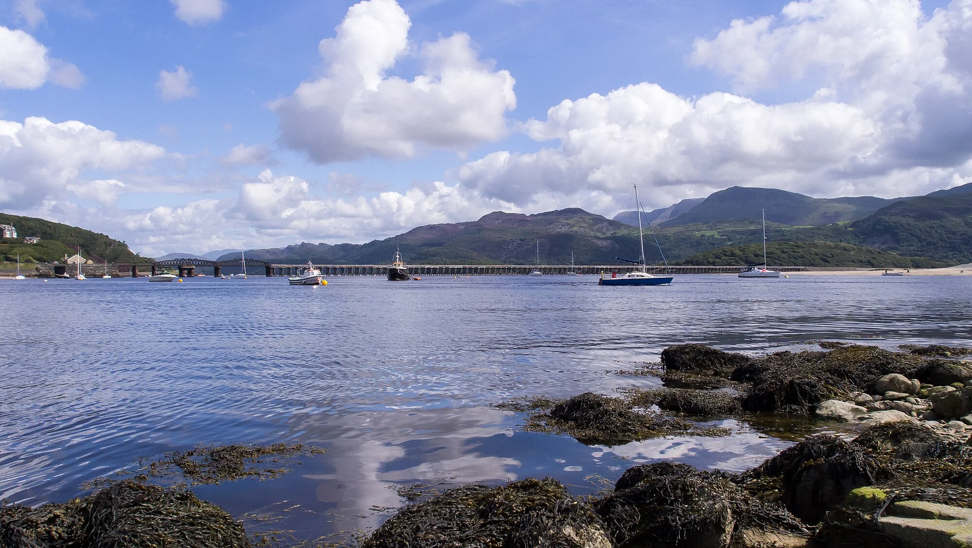 Vets in Barmouth