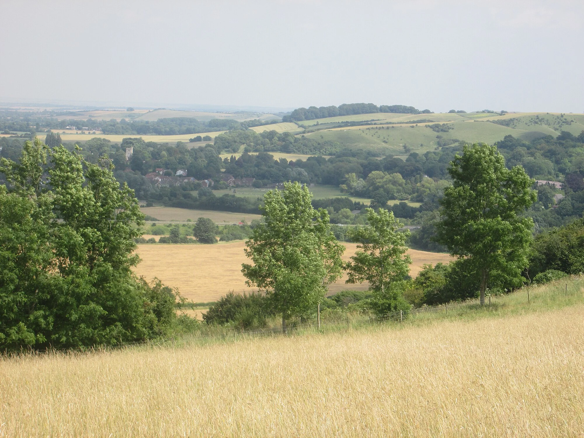 Vets in Barton-Le-Clay
