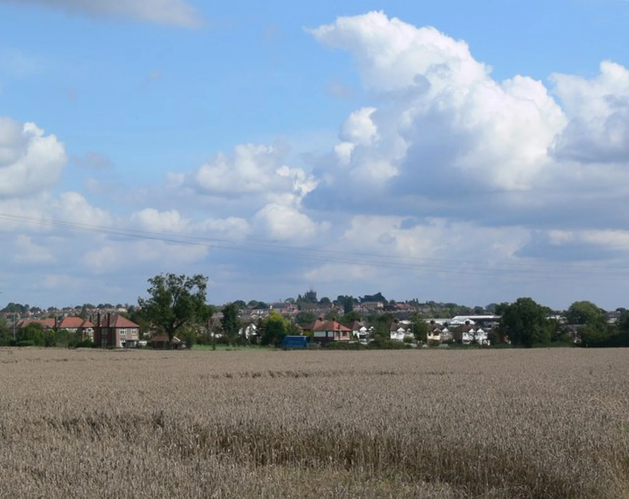 Vets in Barwell