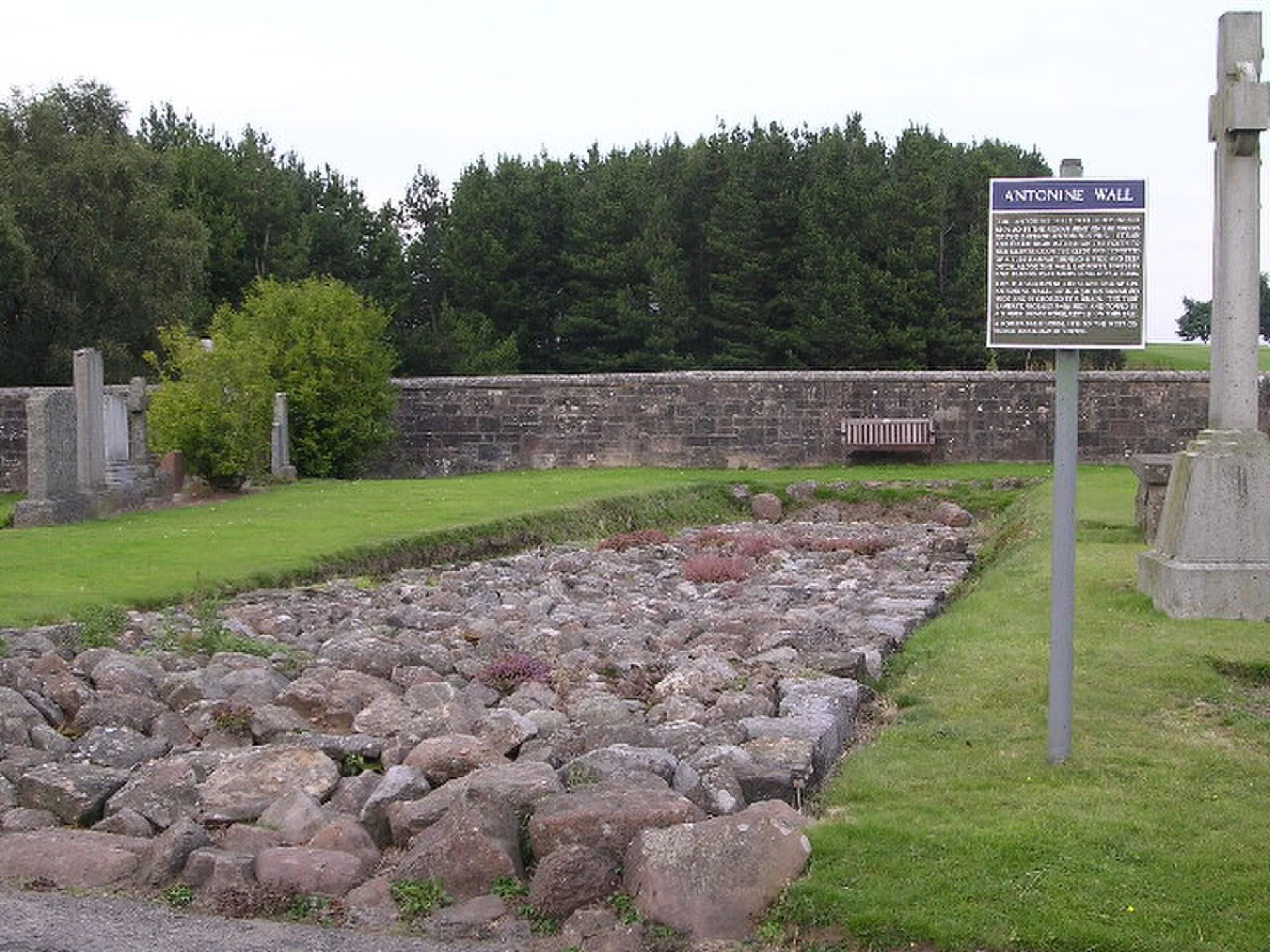 Vets in Bearsden