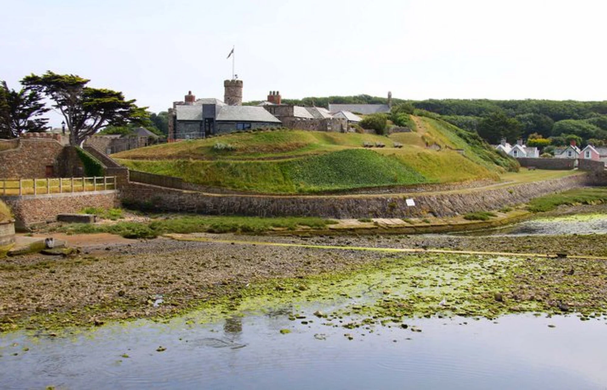Vets in Bude