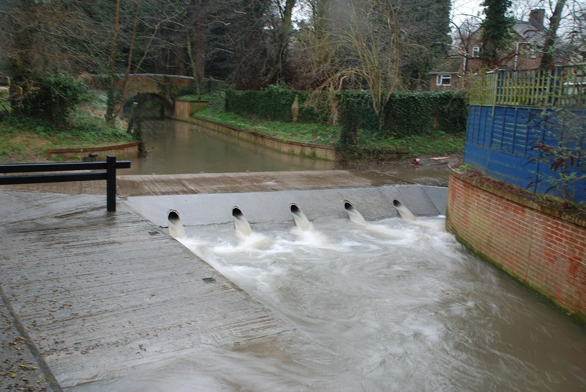 Vets in Buntingford