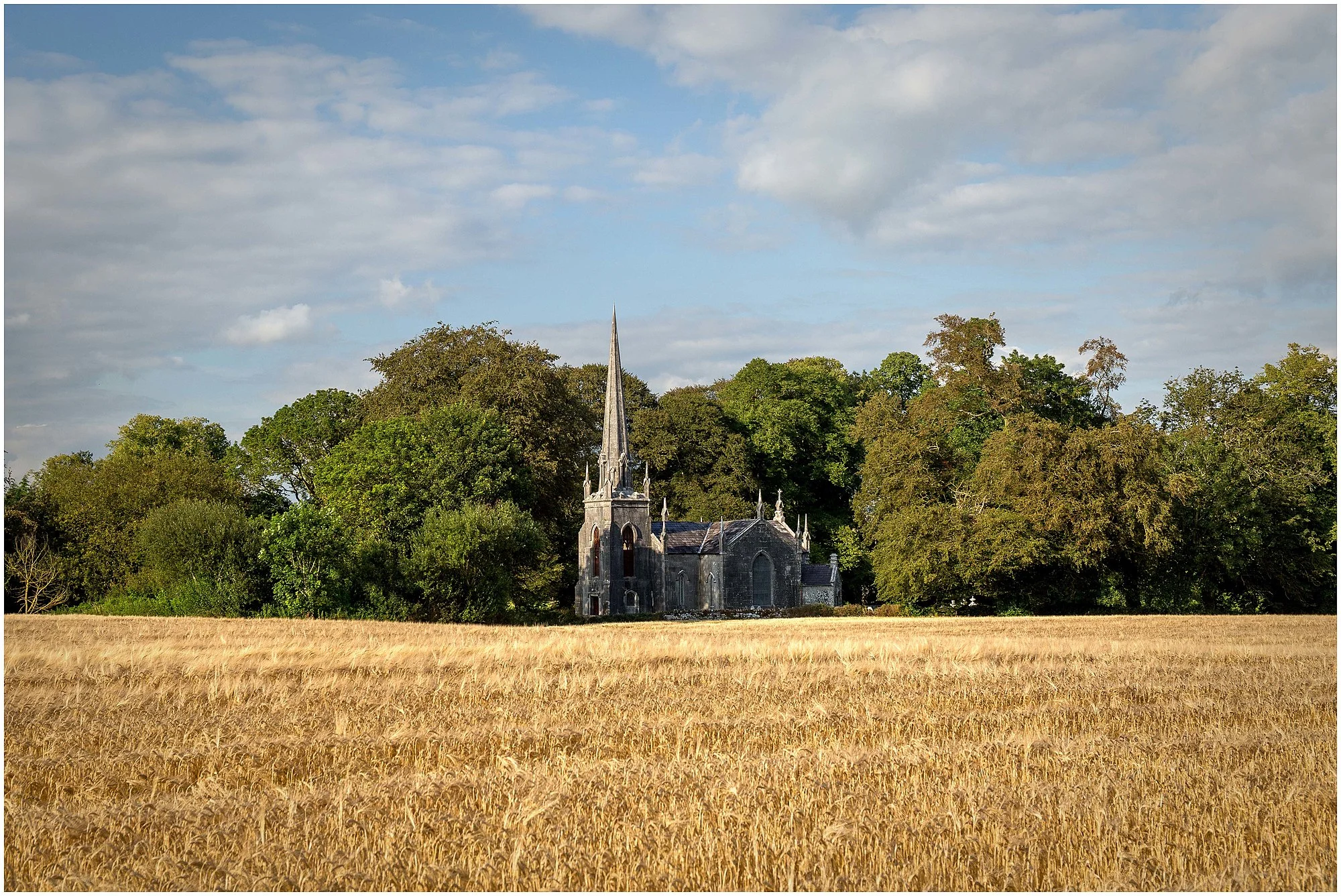 Vets in Buttevant
