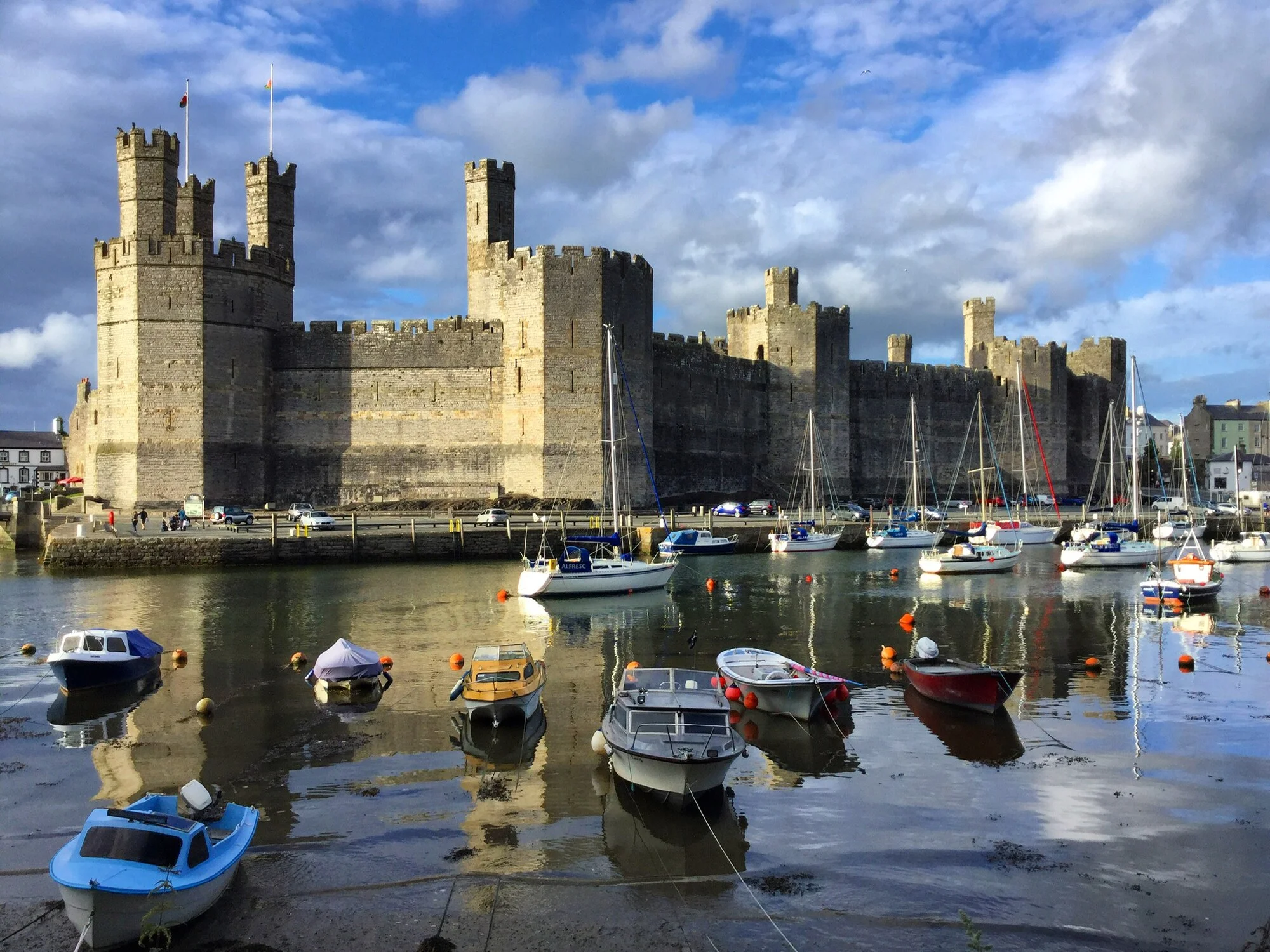 Vets in Caernarfon
