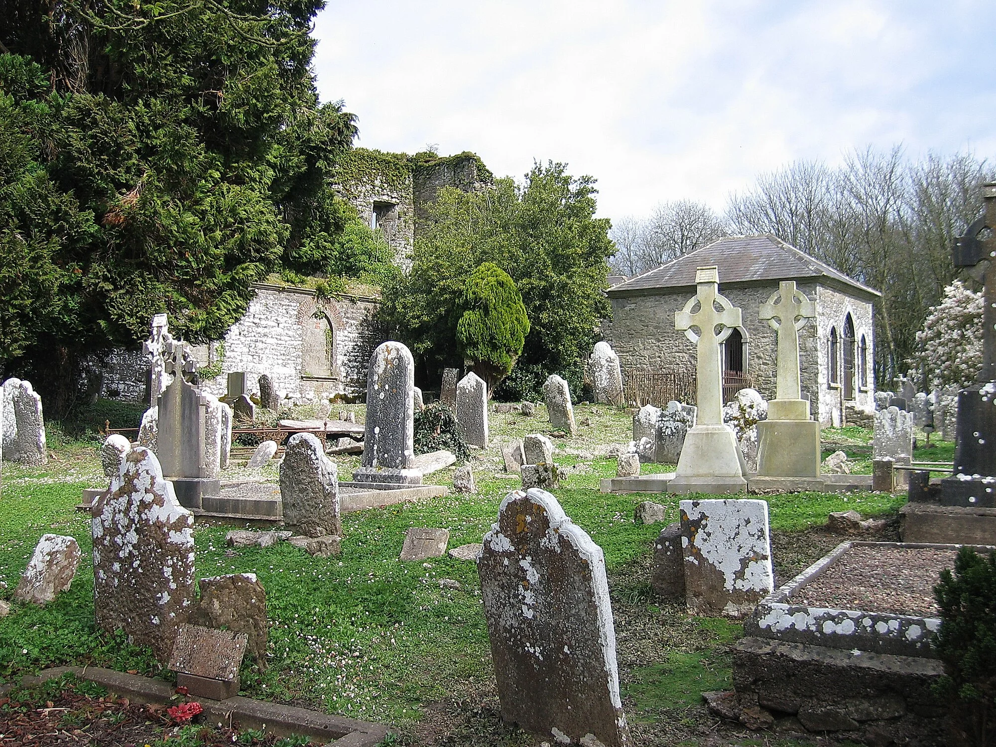 Vets in Castlelyons