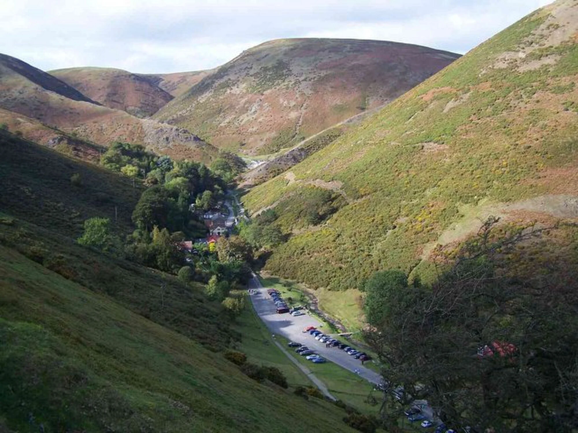 Vets in Church Stretton
