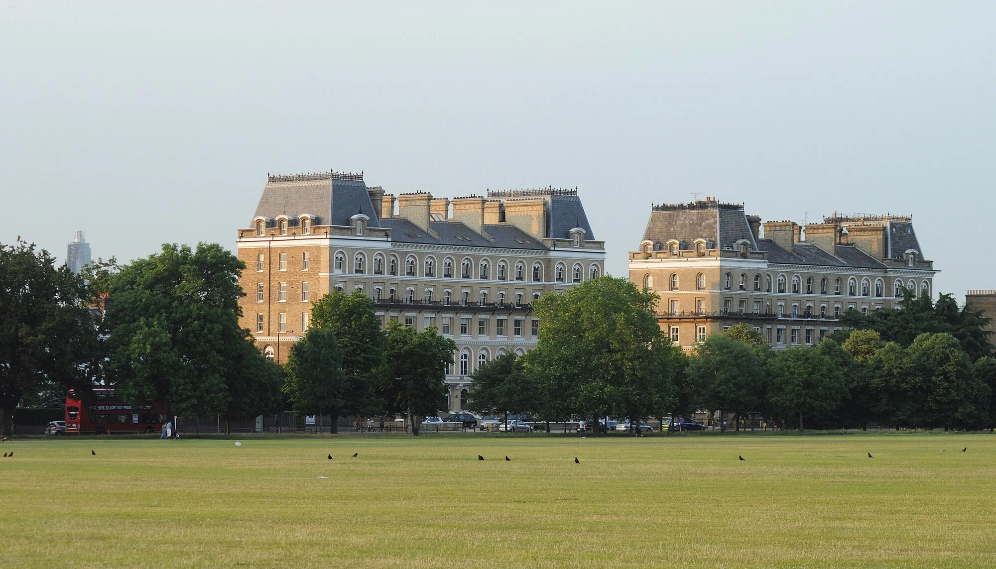 Vets in Clapham