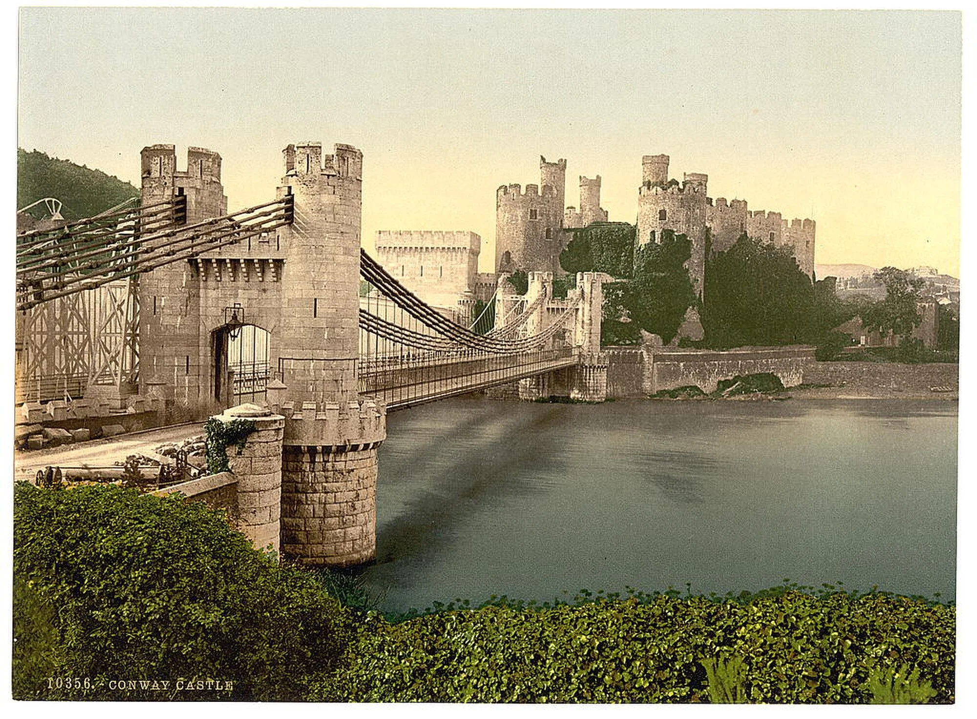 Vets in Conwy