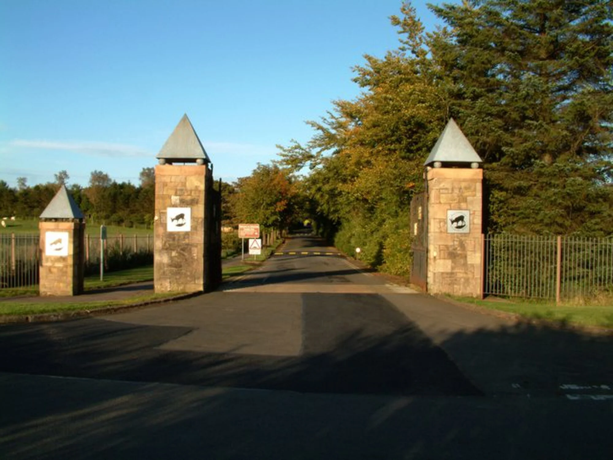 Vets in Cumbernauld