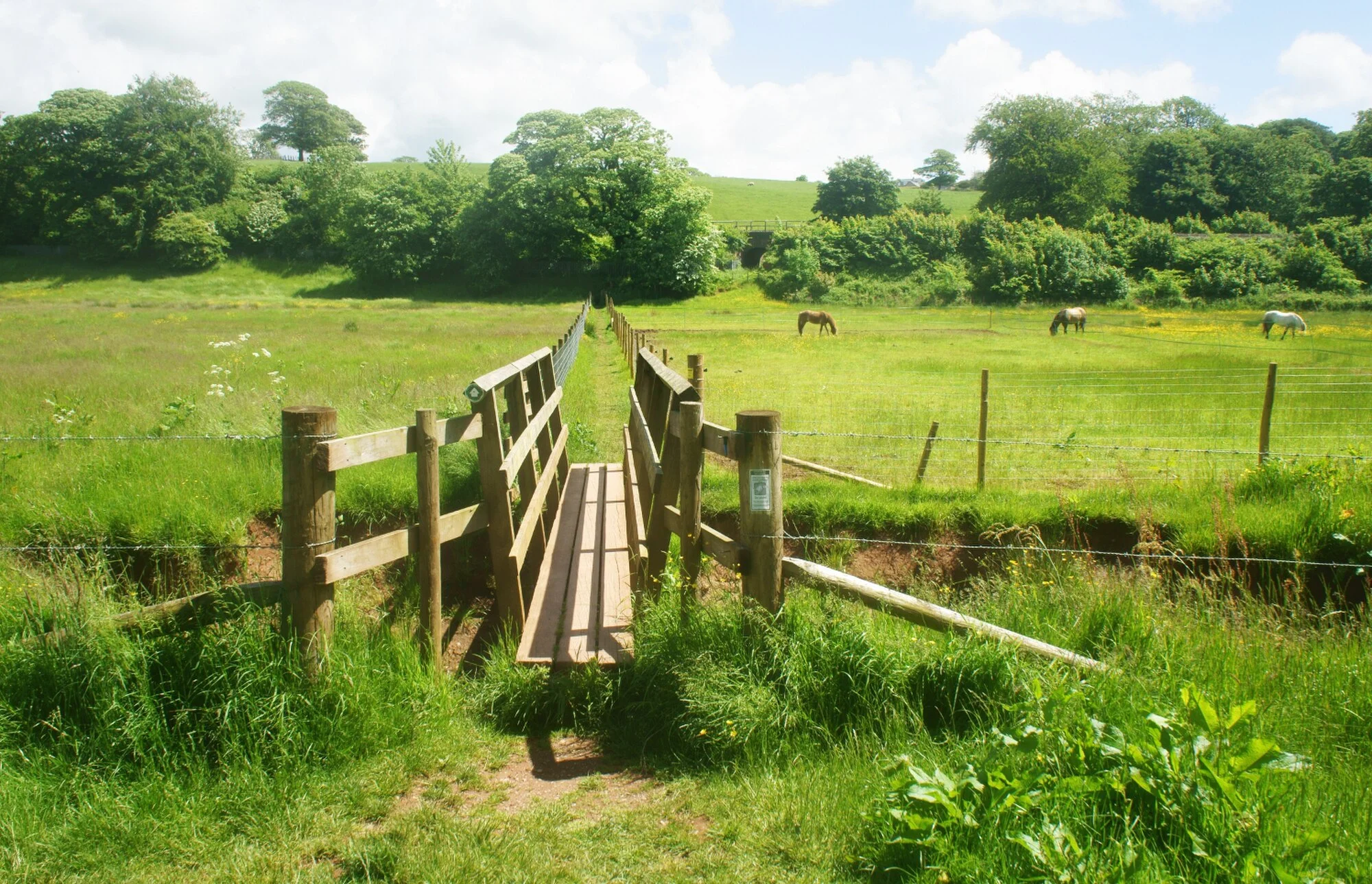 Vets in Dalton-In-Furness