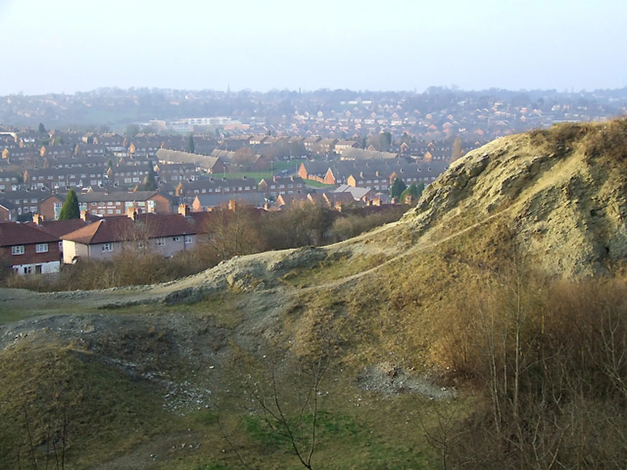 Vets in Dudley