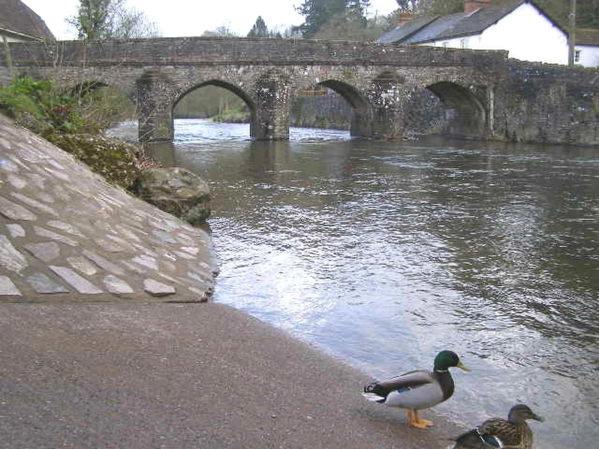 Vets in Dulverton