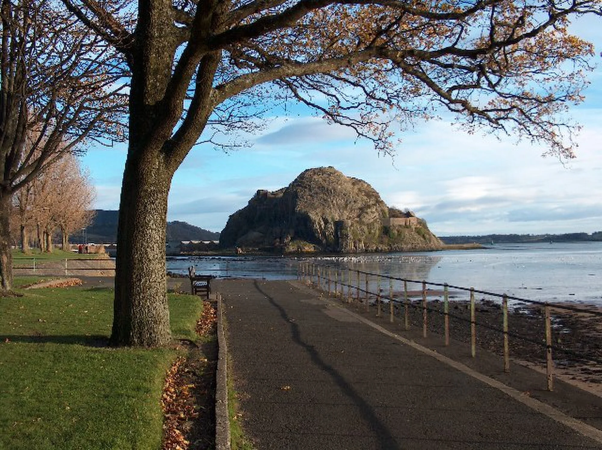 Vets in Dumbarton
