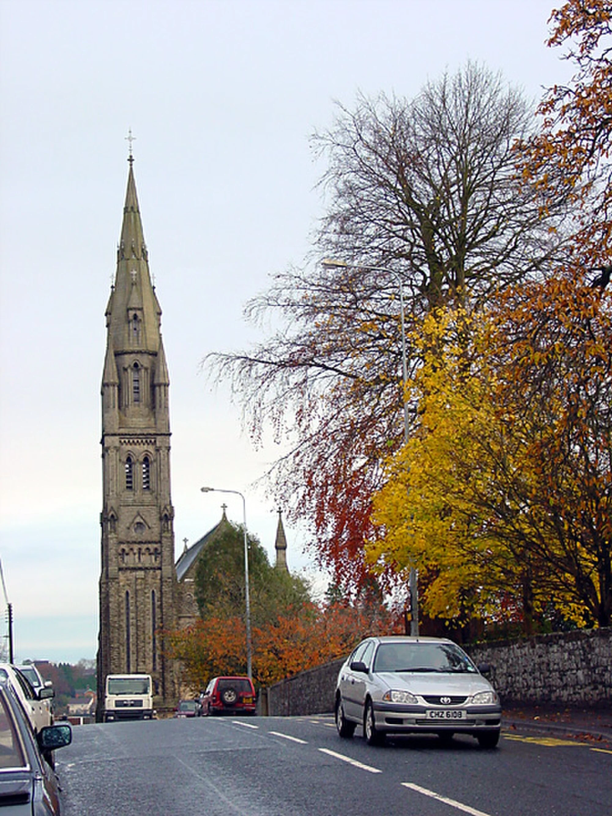 Vets in Dungannon