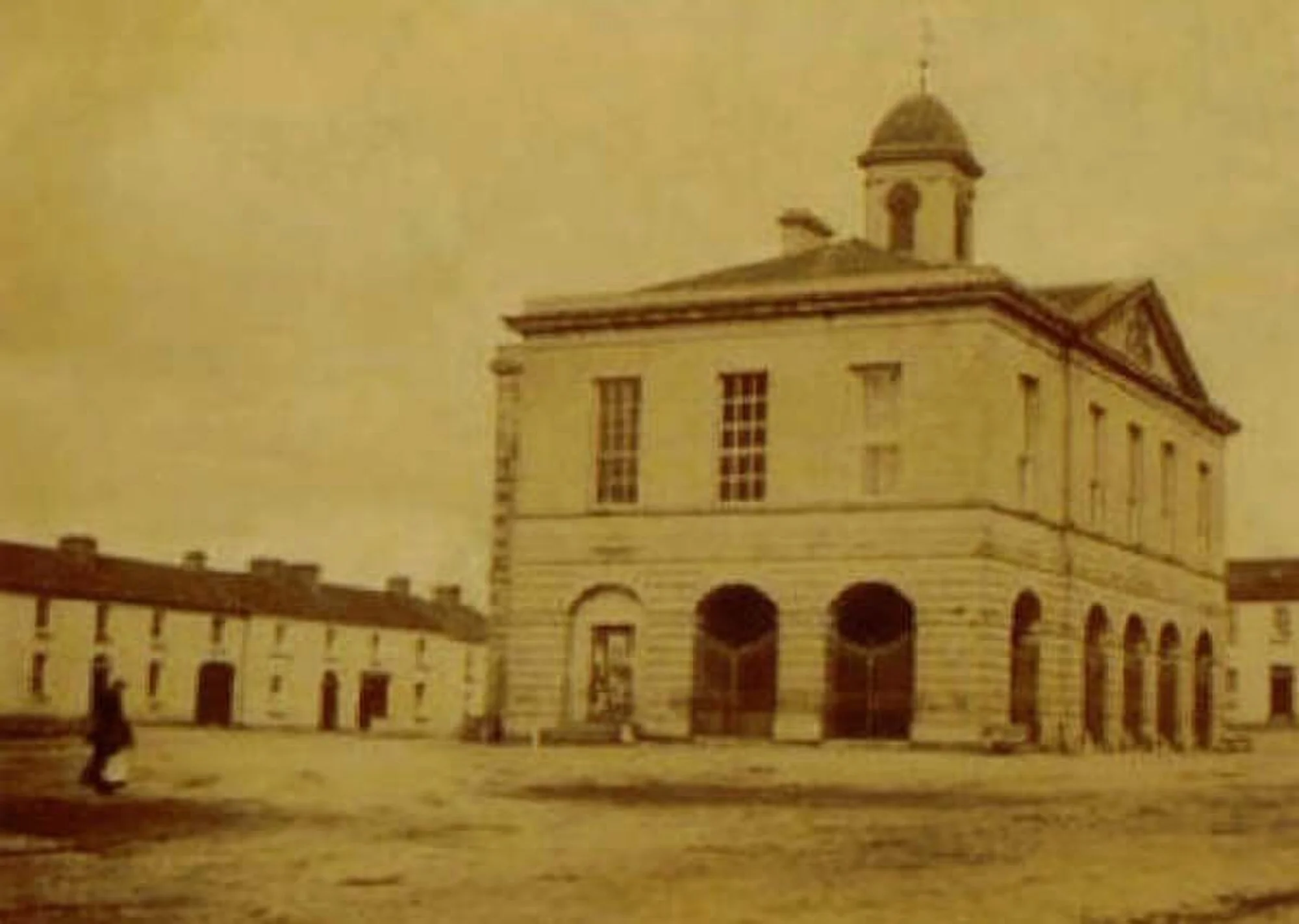 Vets in Edenderry