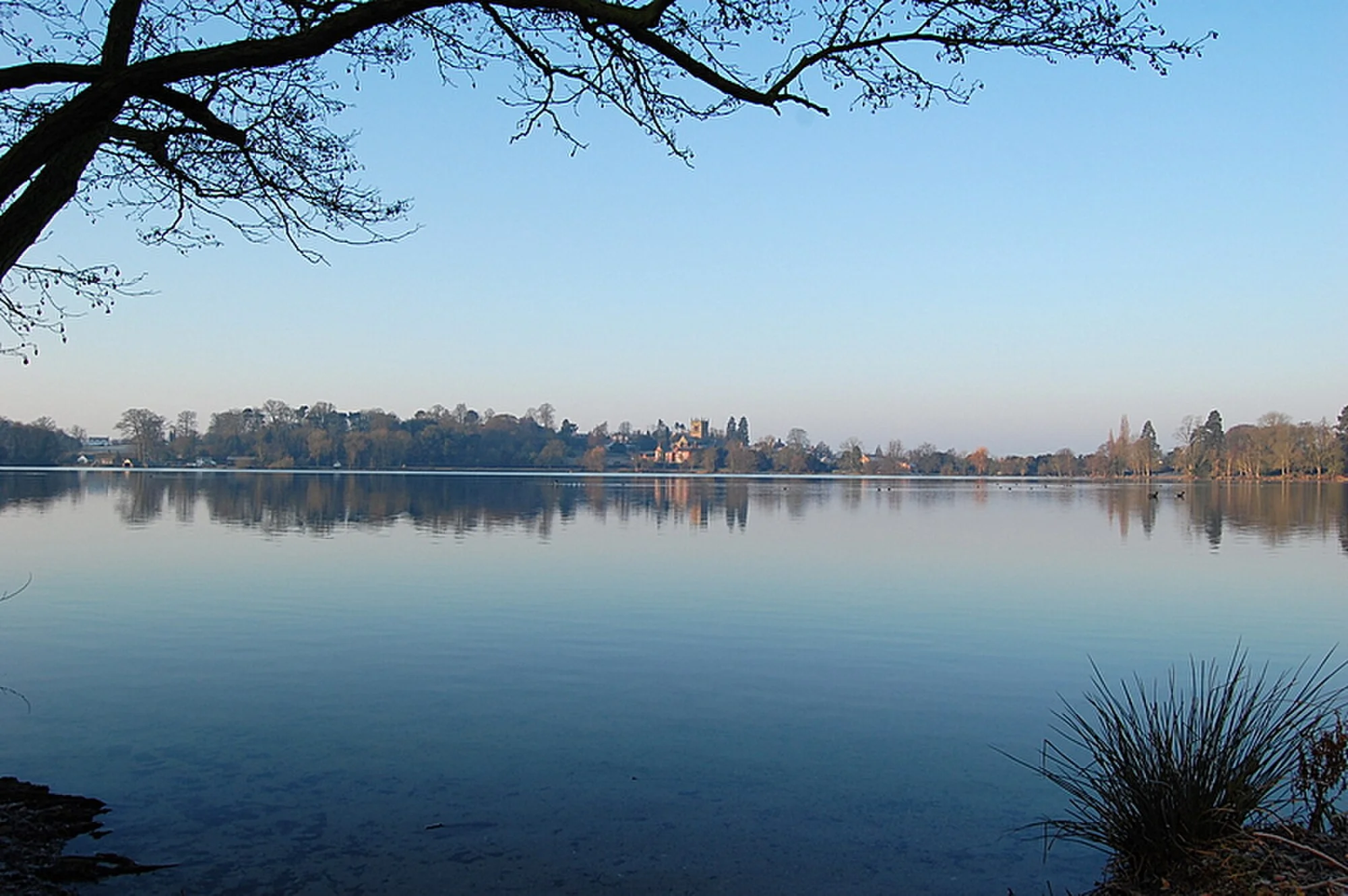 Vets in Ellesmere