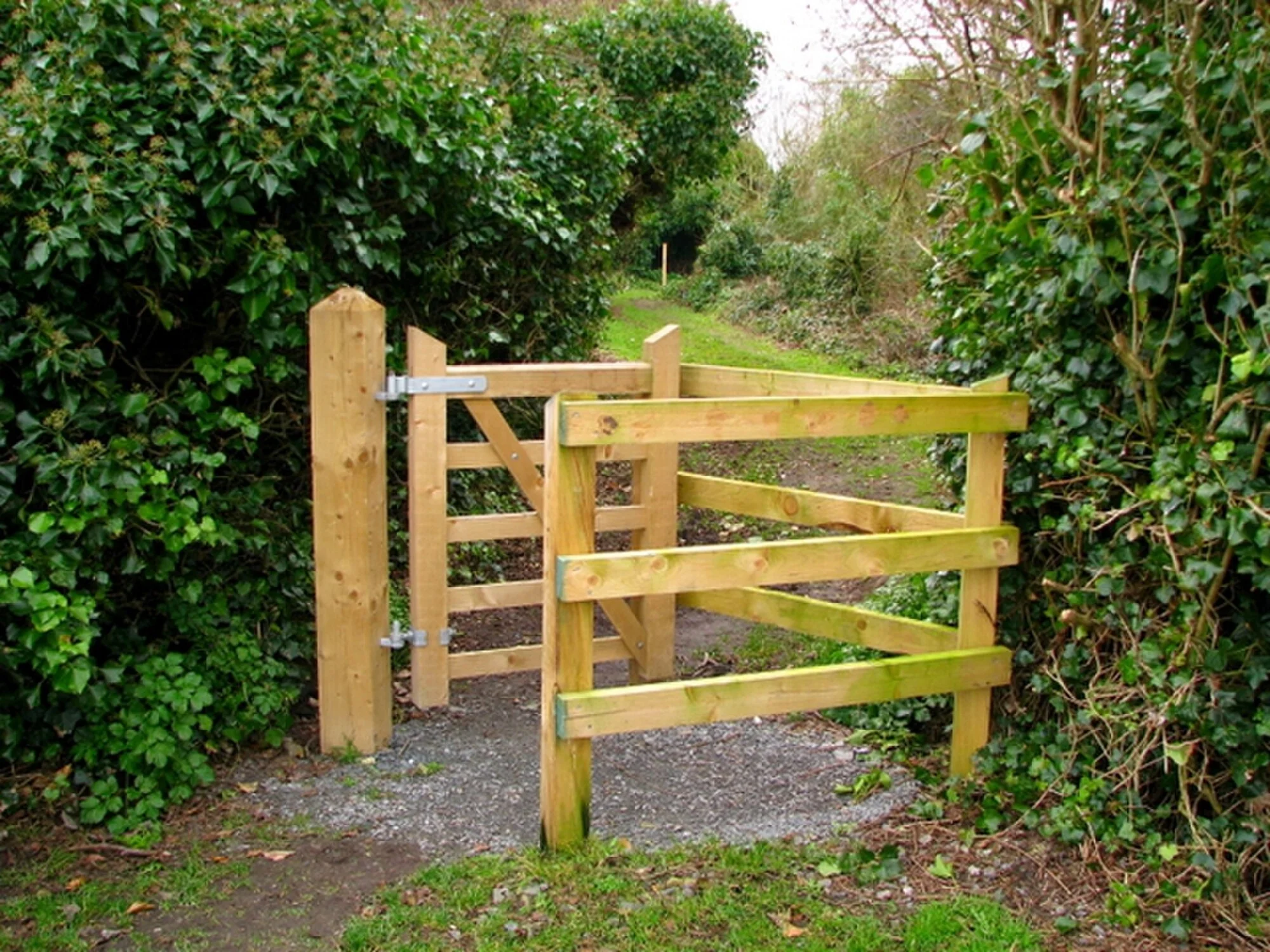 Vets in Glastry