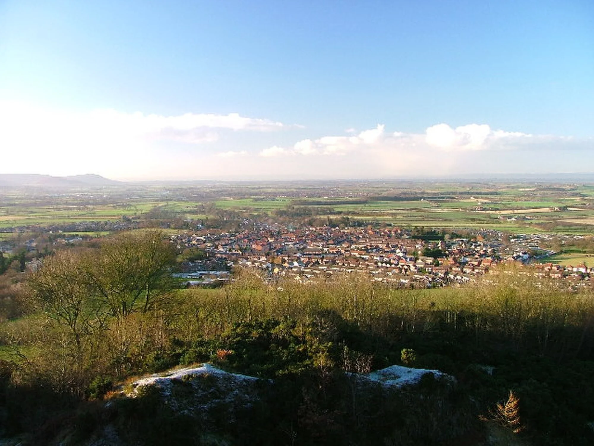 Vets in Great Ayton
