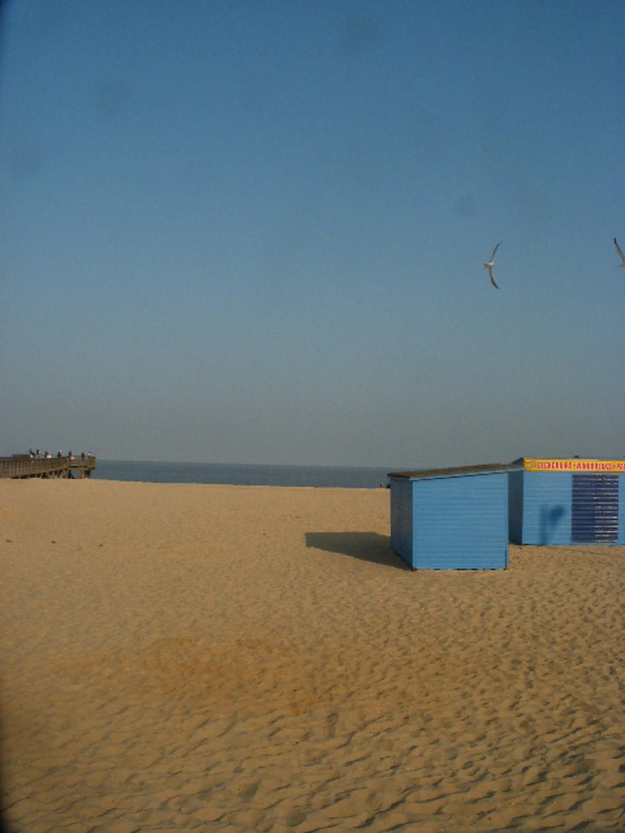 Vets in Great Yarmouth