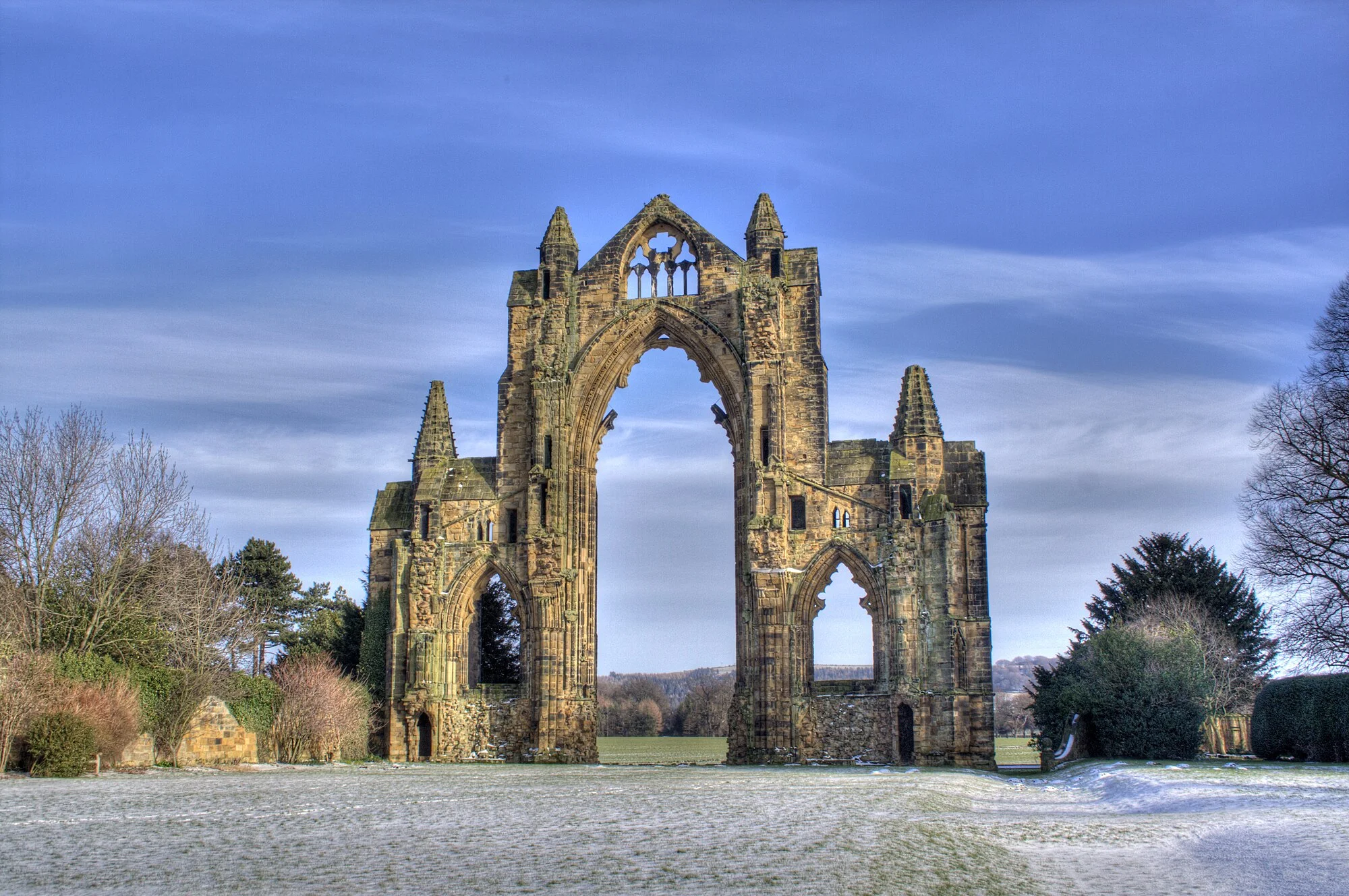 Vets in Guisborough
