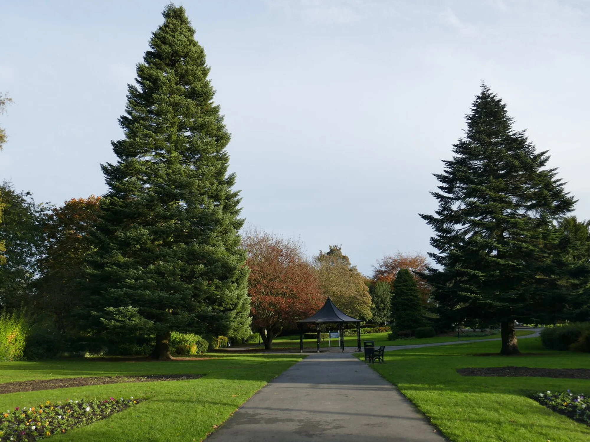 Vets in Heanor
