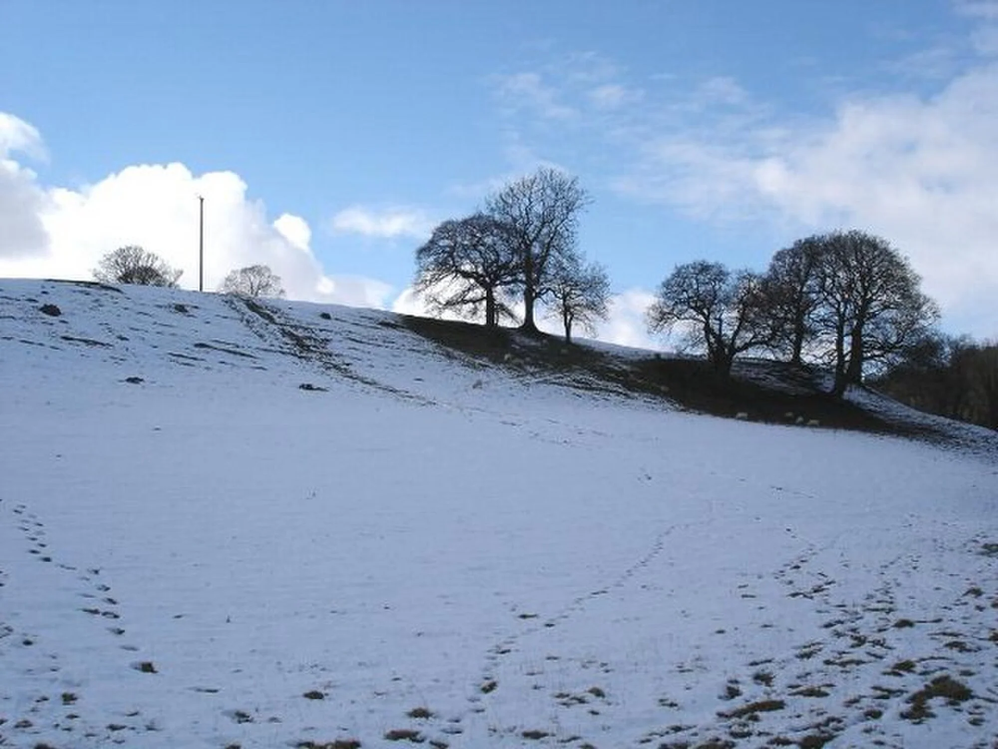 Vets in Hendre