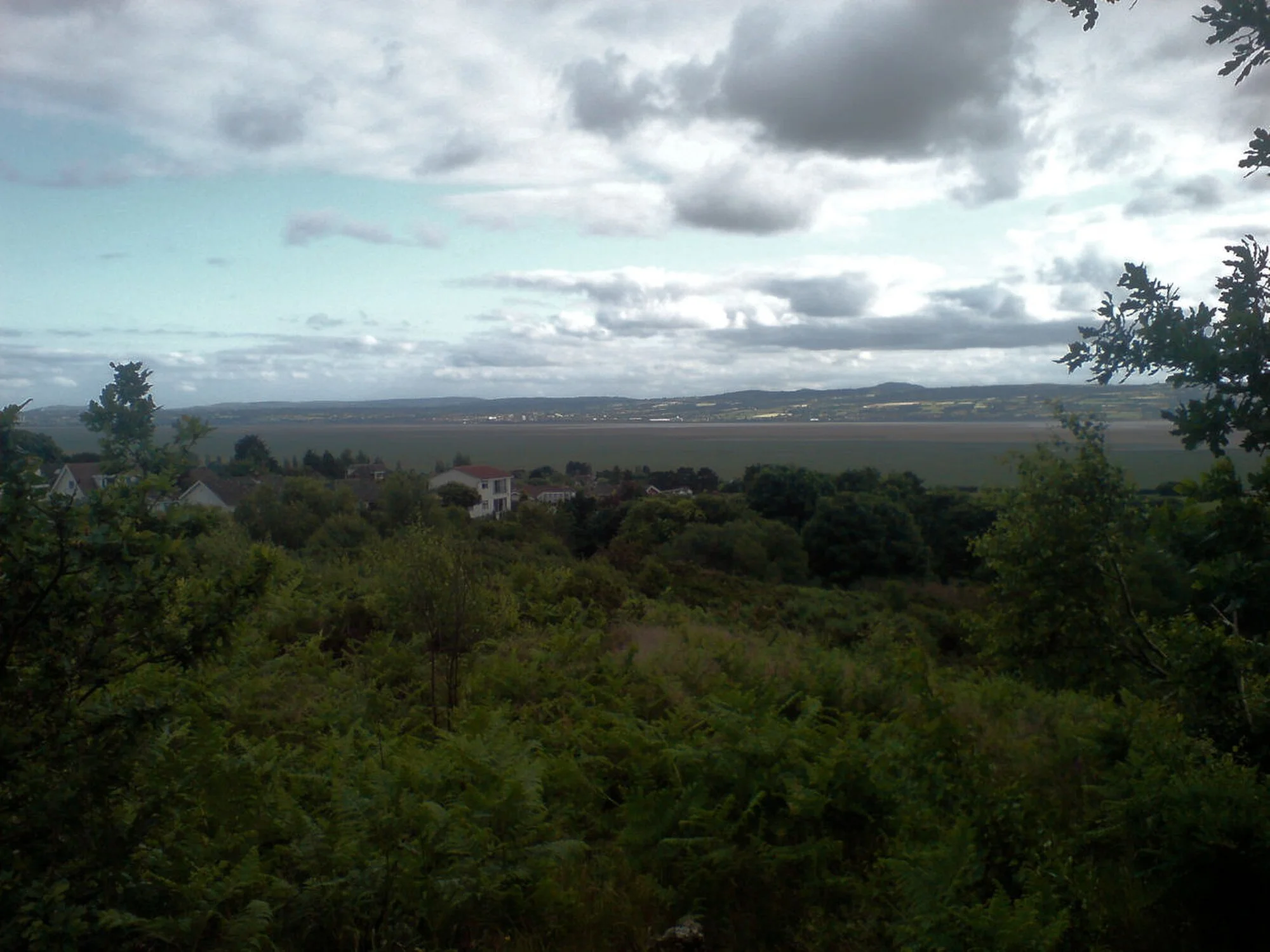 Vets in Heswall