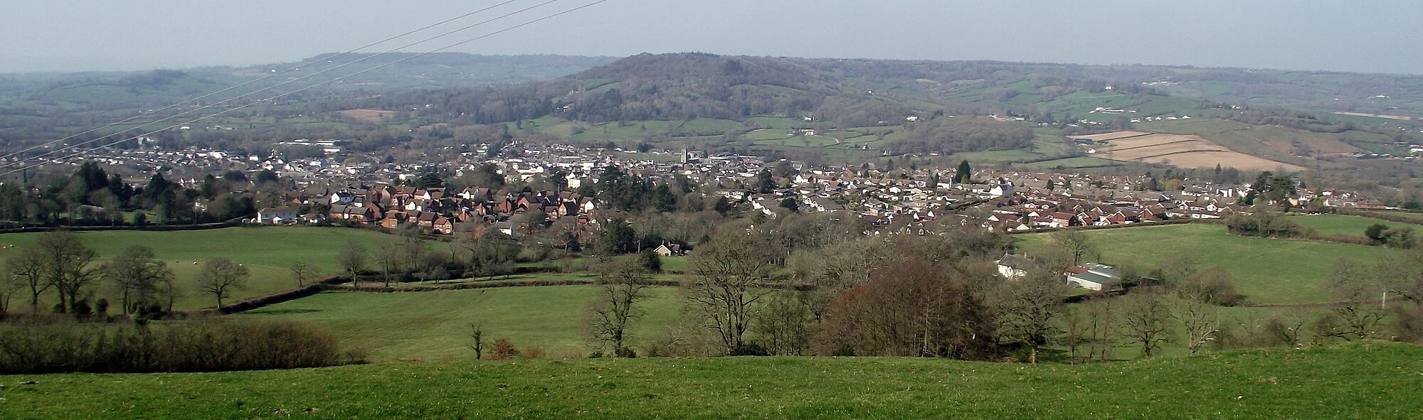 Vets in Honiton
