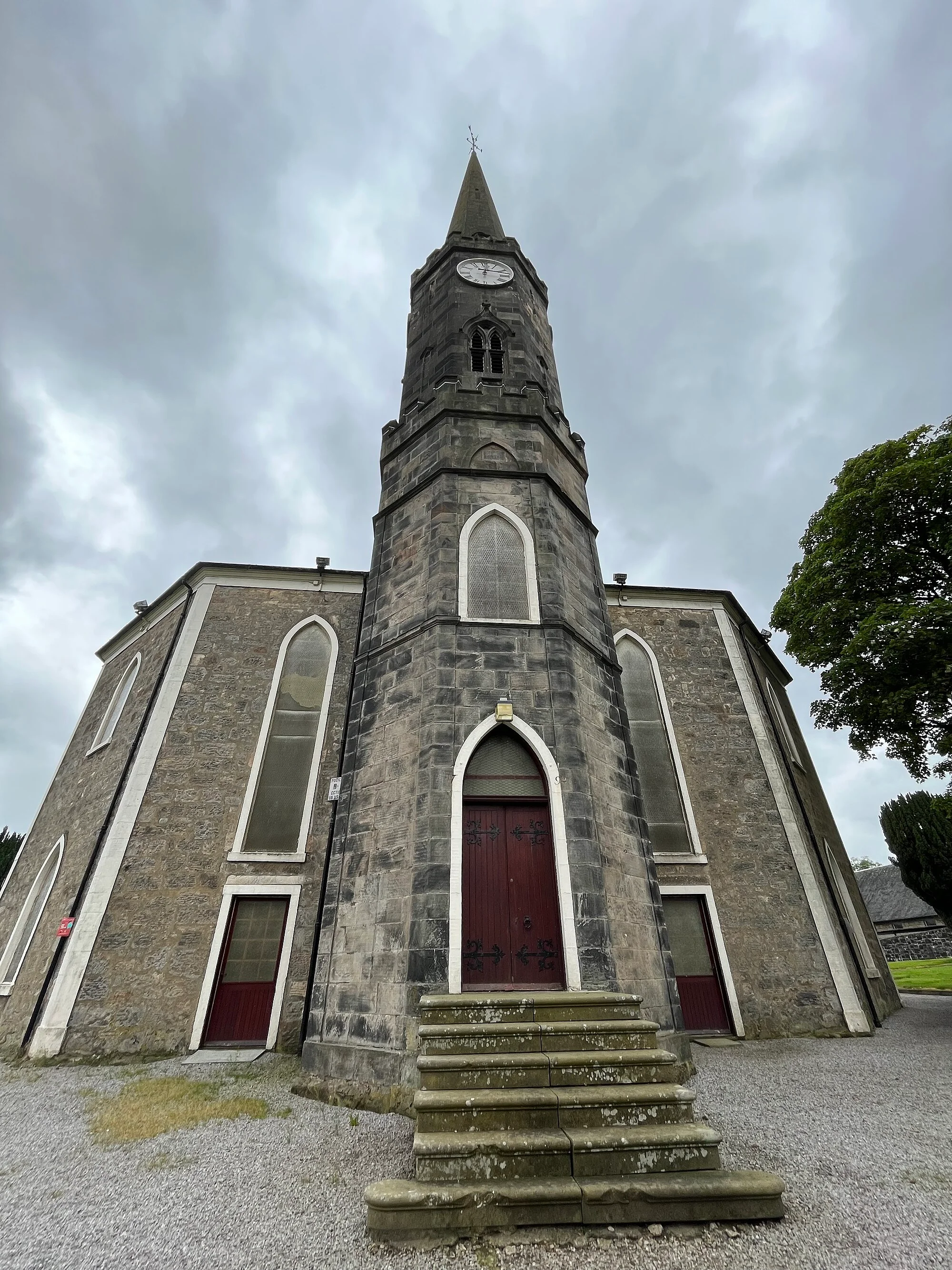 Vets in Johnstone
