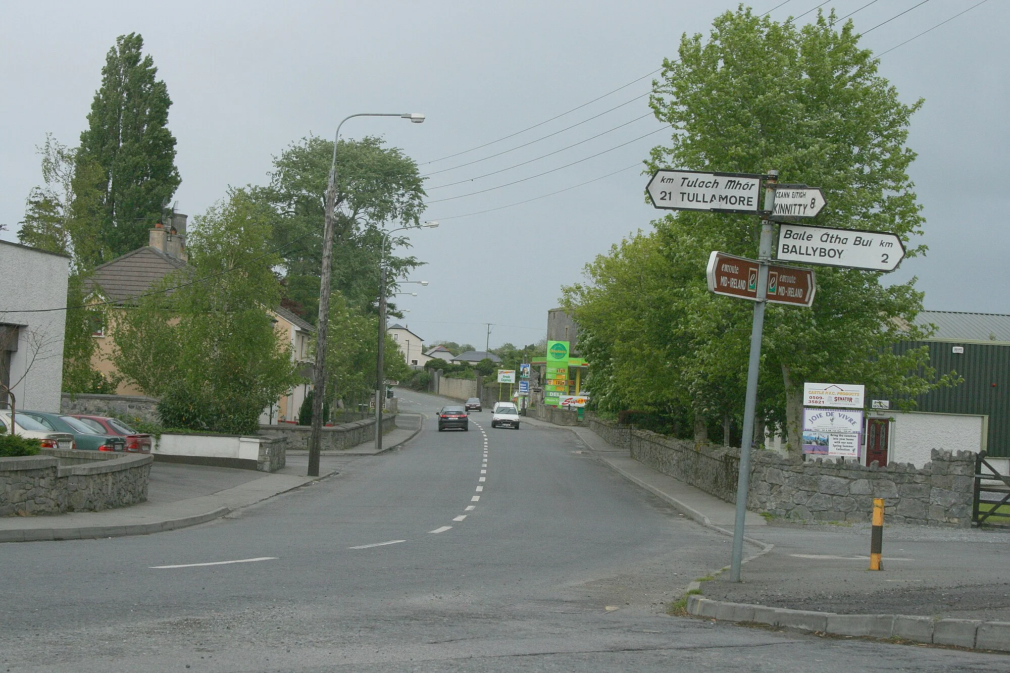 Vets in Kilcormac