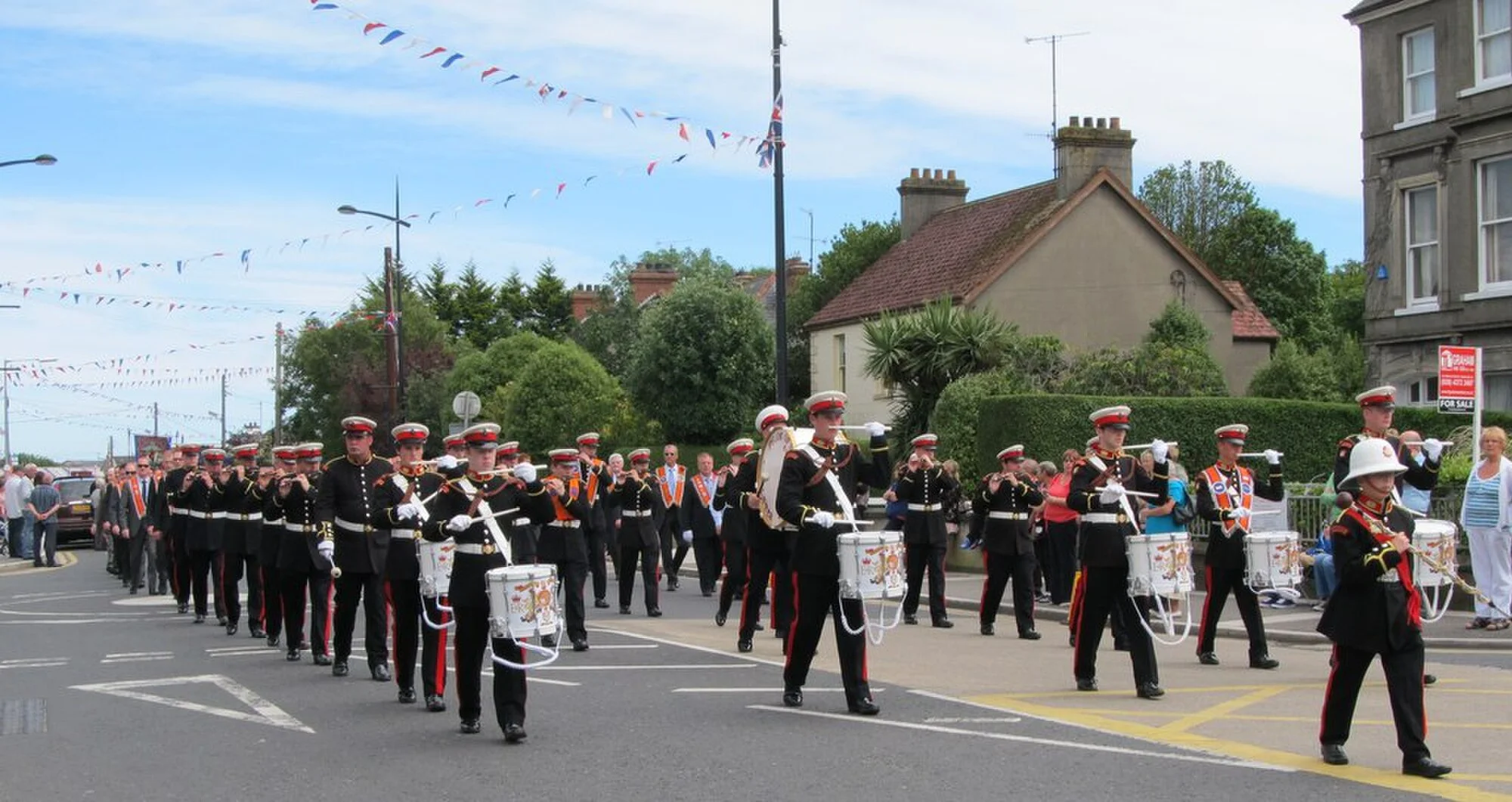 Vets in Kilkeel
