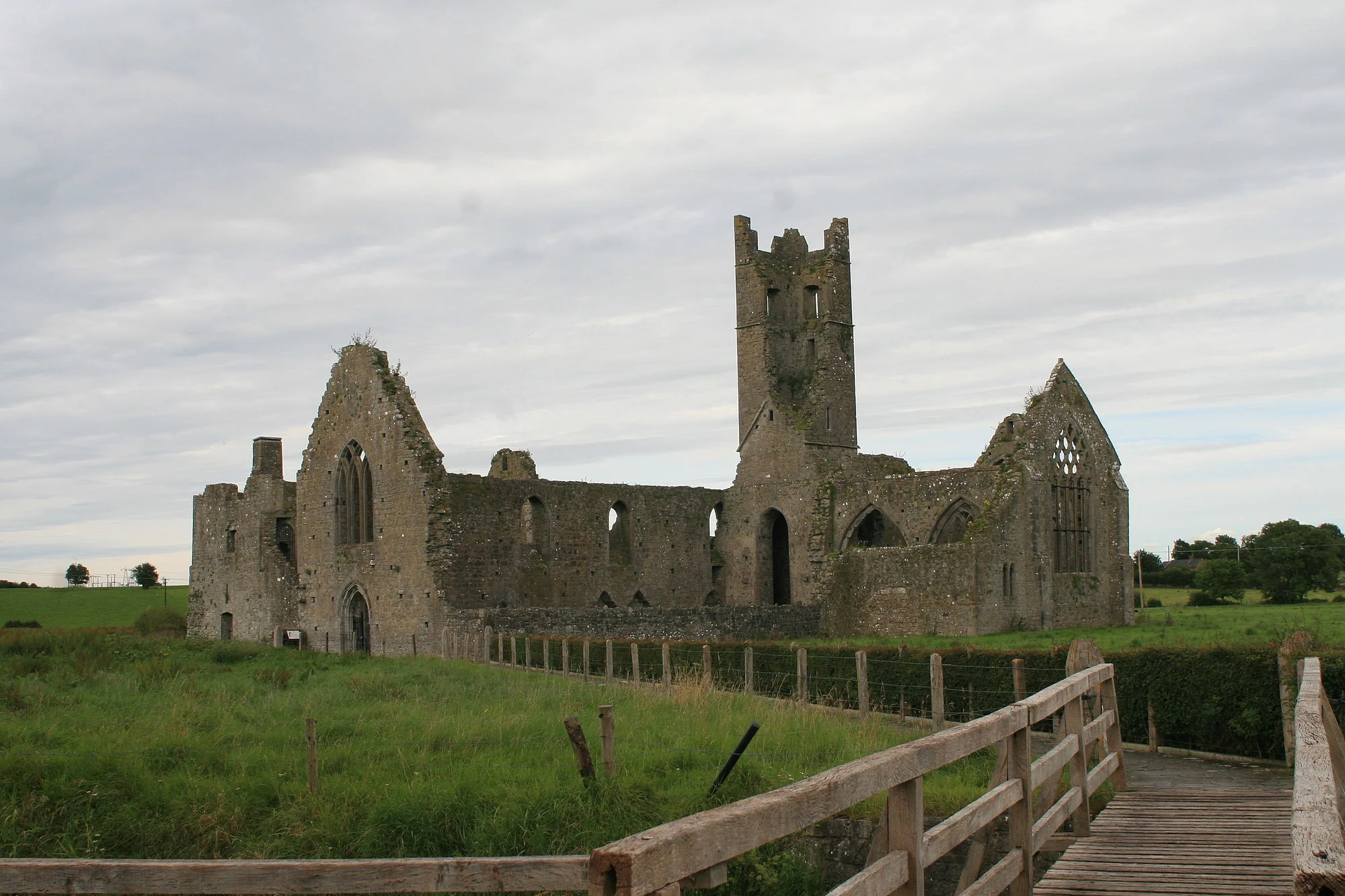 Vets in Kilmallock