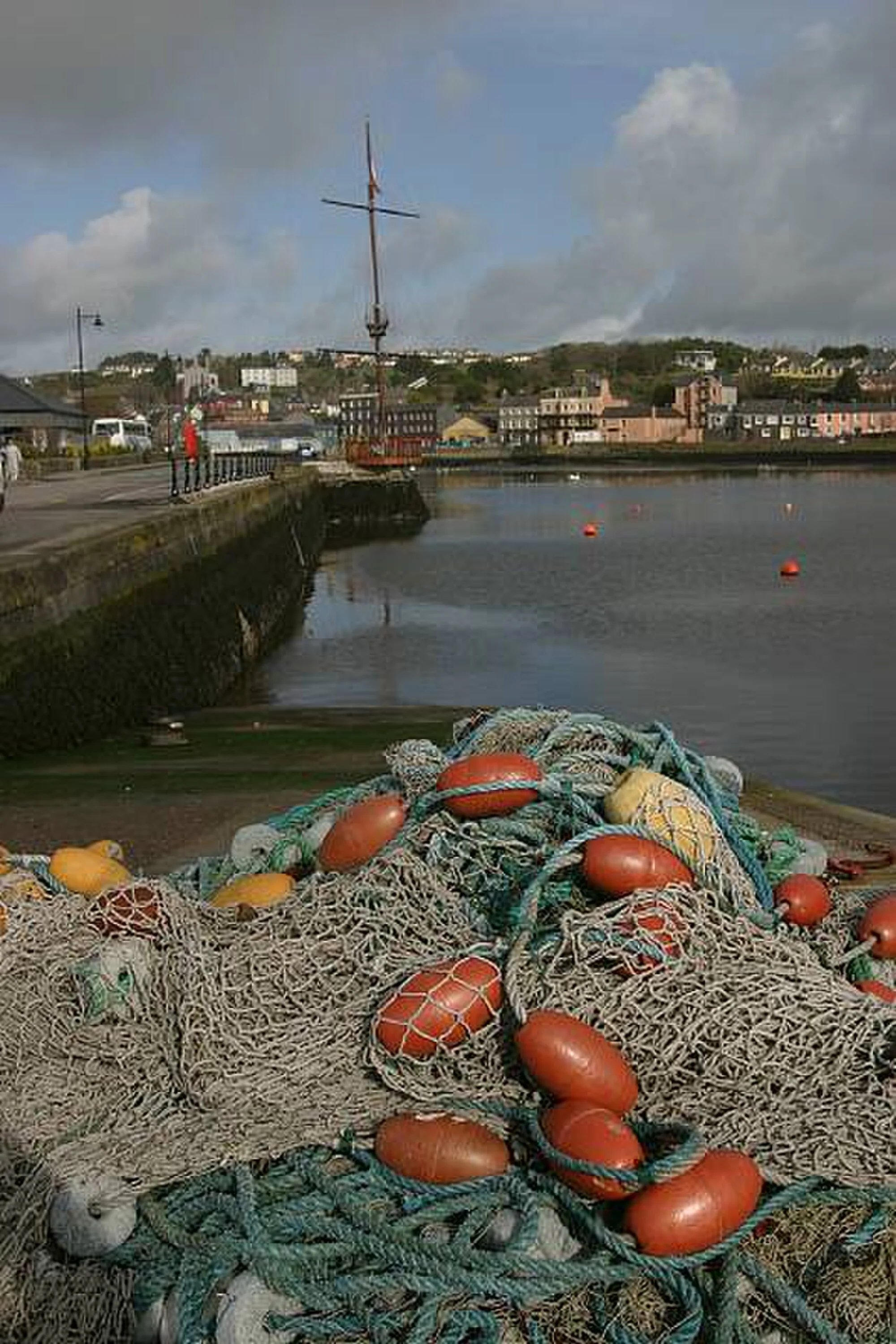 Vets in Kinsale