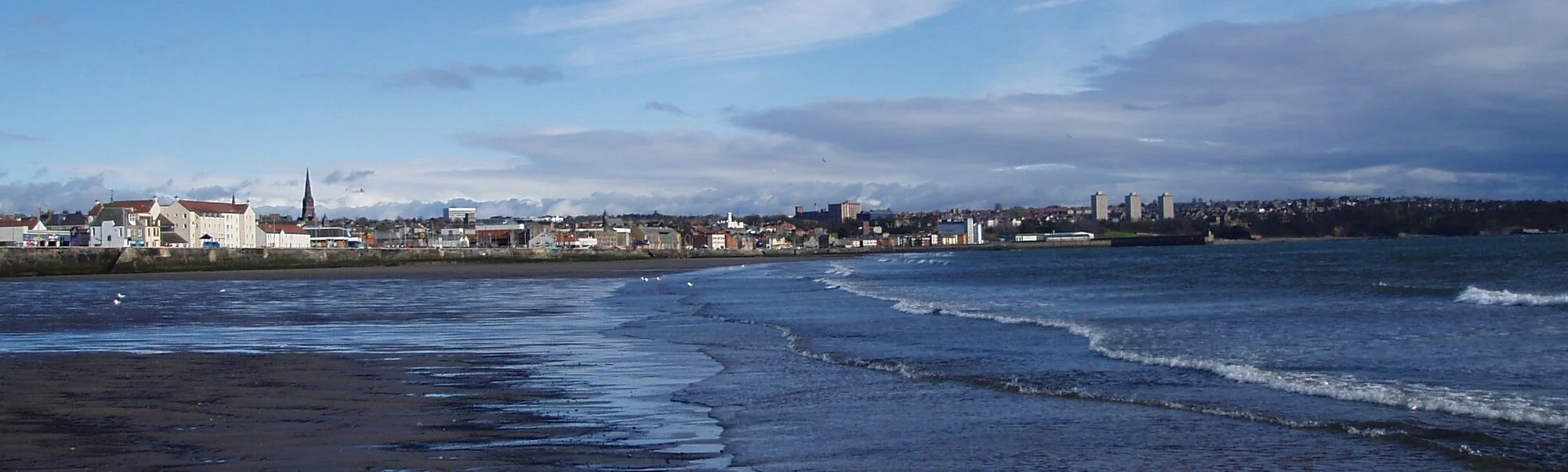 Vets in Kirkcaldy